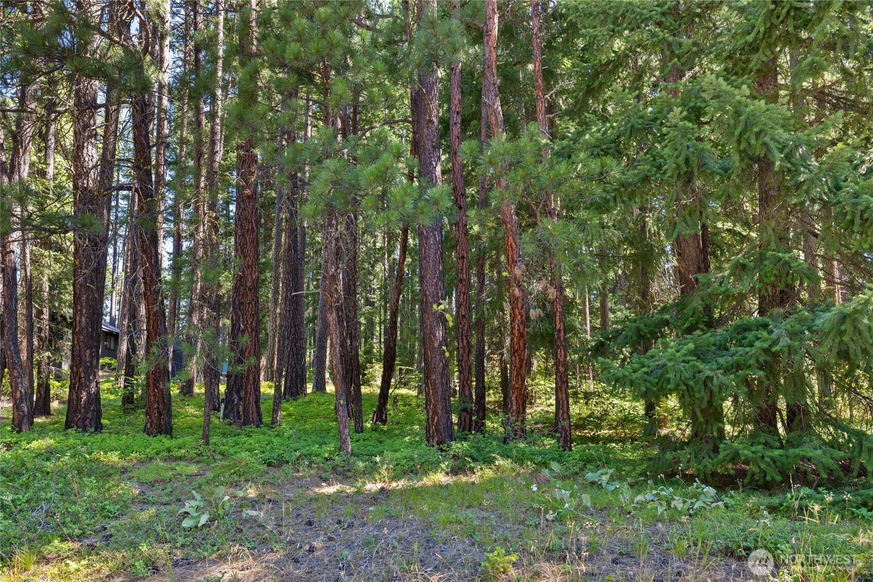 0 Lot 10 S Lake Cabins Road, Ronald, WA 98940