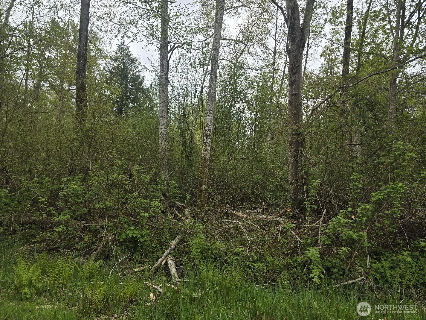 0 Shorewood Lane, Bellingham, WA 98226
