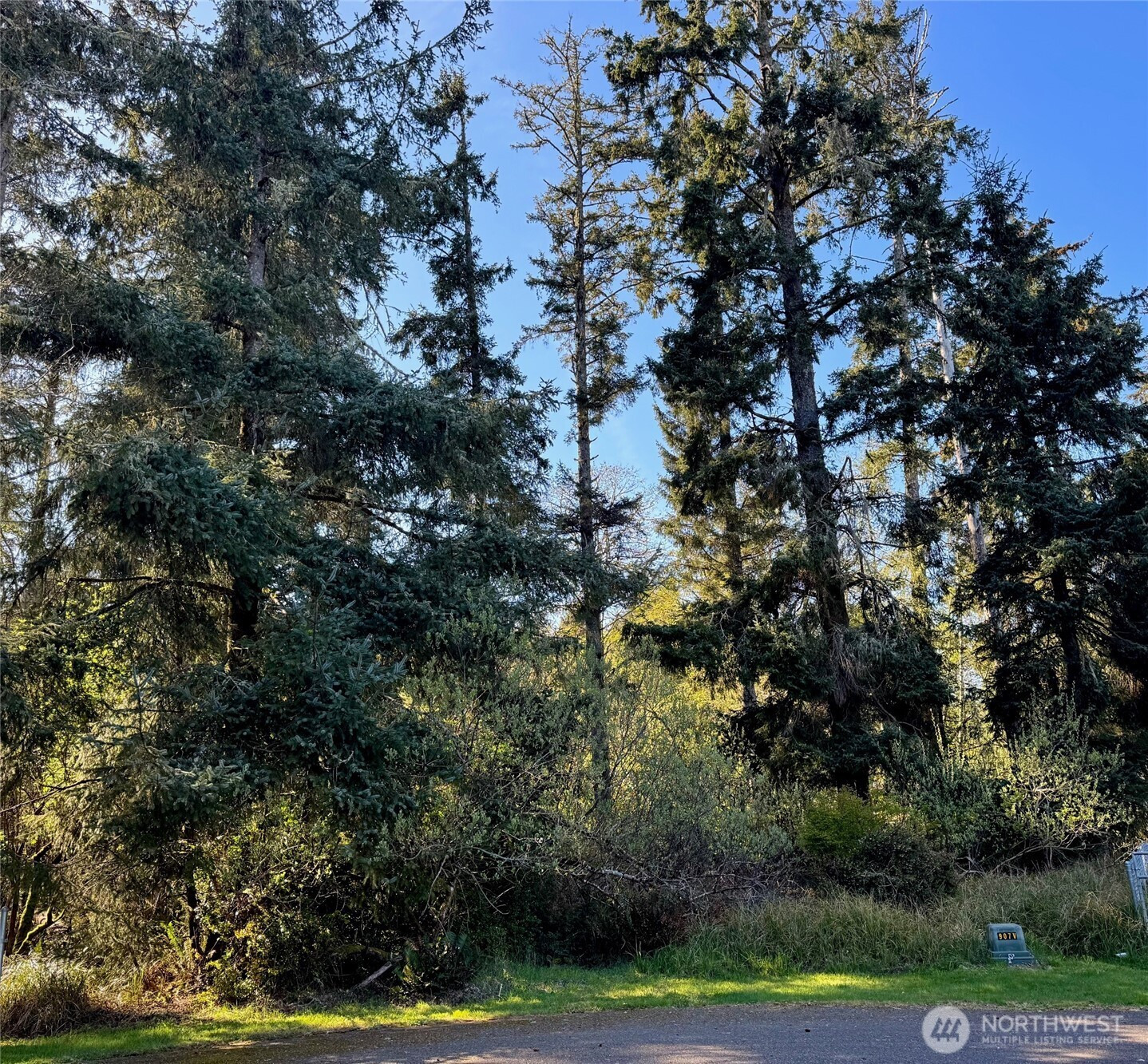 186 Murphy Court SE, Ocean Shores, WA 98569