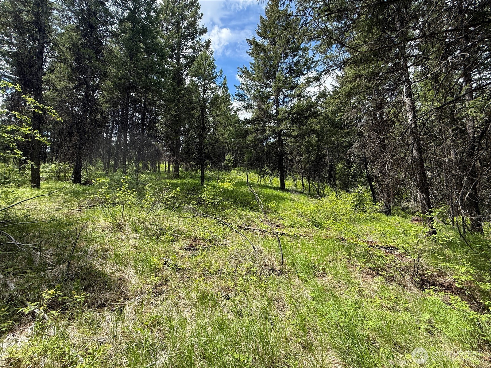 0 Knob Hill Road E, Republic, WA 99166