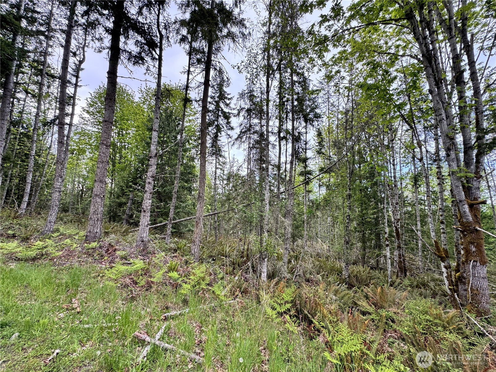 9999 Township Line Road, Port Angeles, WA 98362