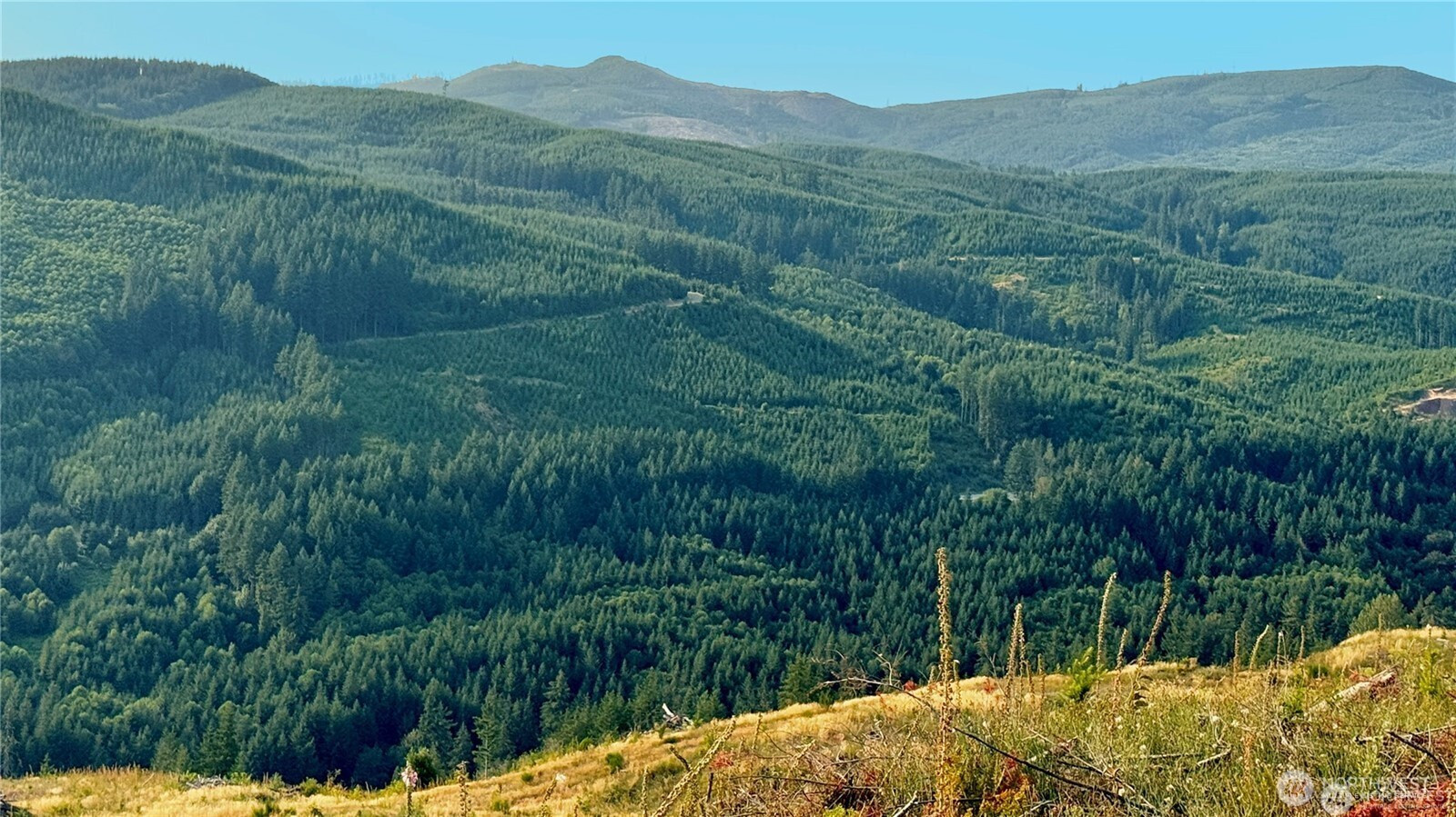 3727 Little Kalama River Road, Woodland, WA 98584