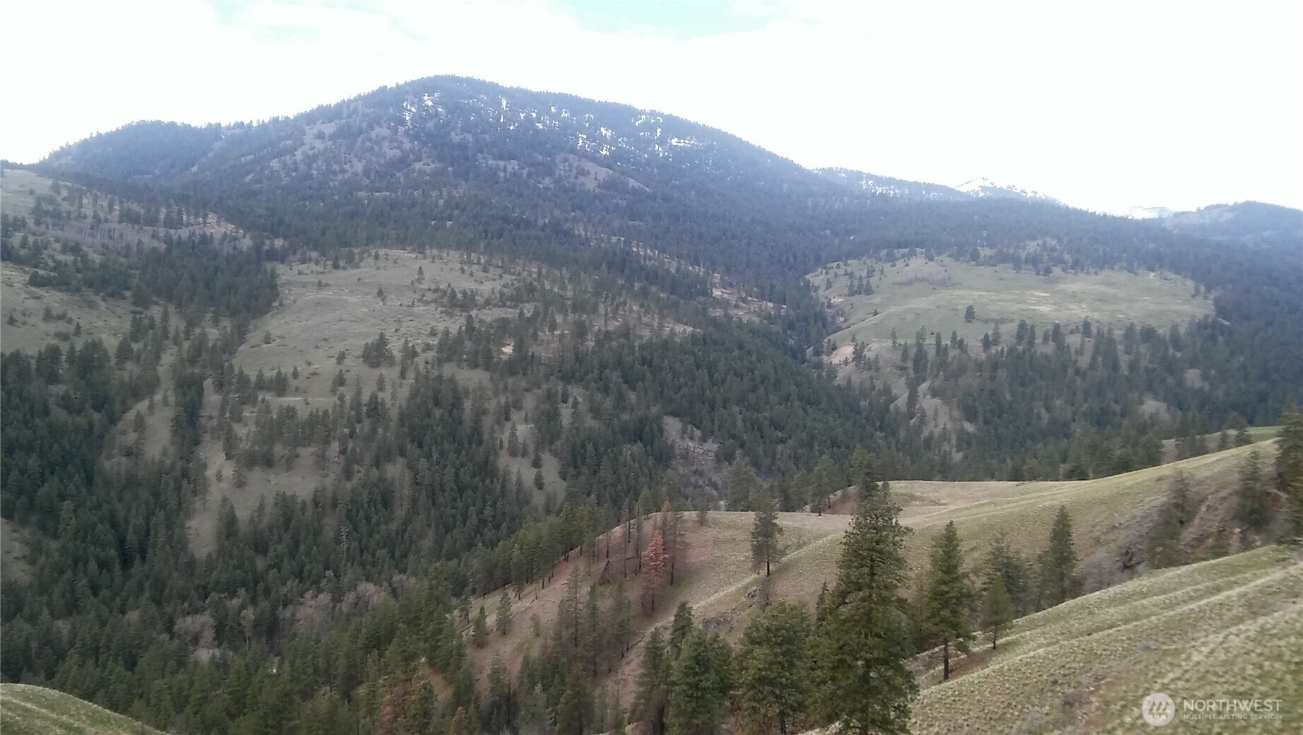 0 TBD N Fork Salmon Creek Road, Conconully, WA 98819