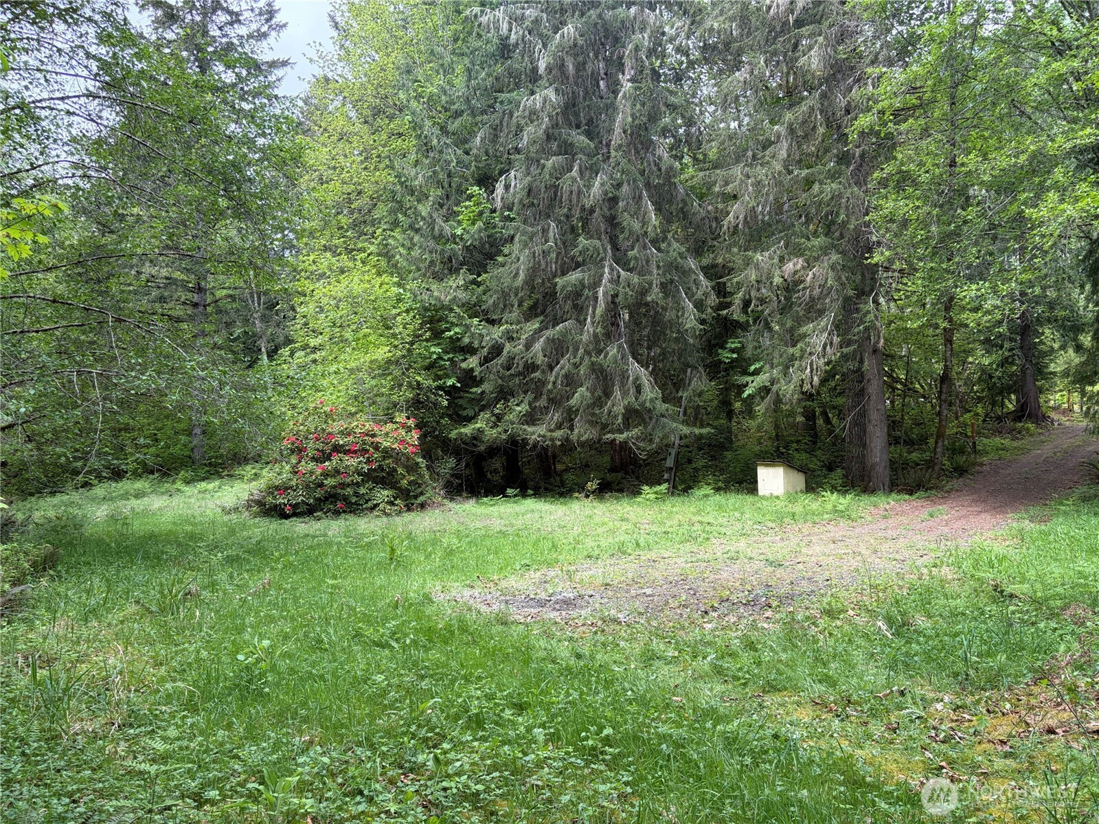 3263 Duckabush Road, Brinnon, WA 98320