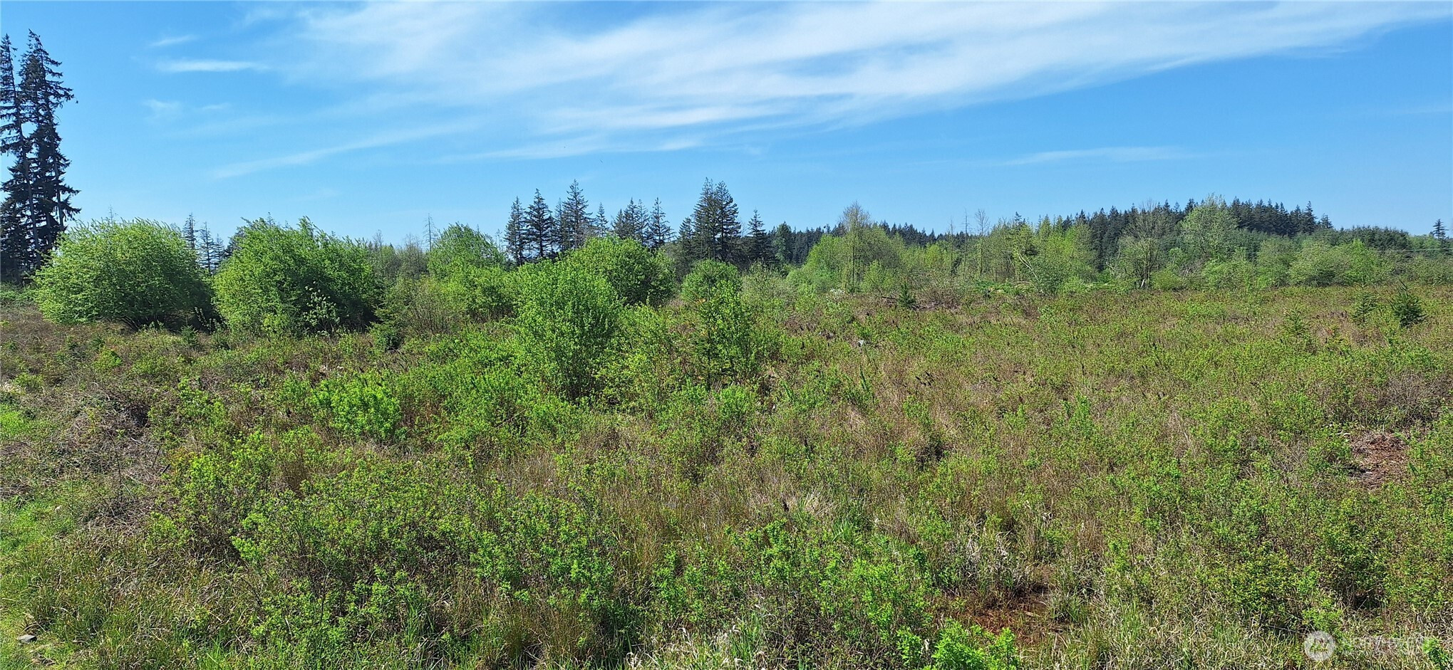 123 Meier Road, Winlock, WA 98596