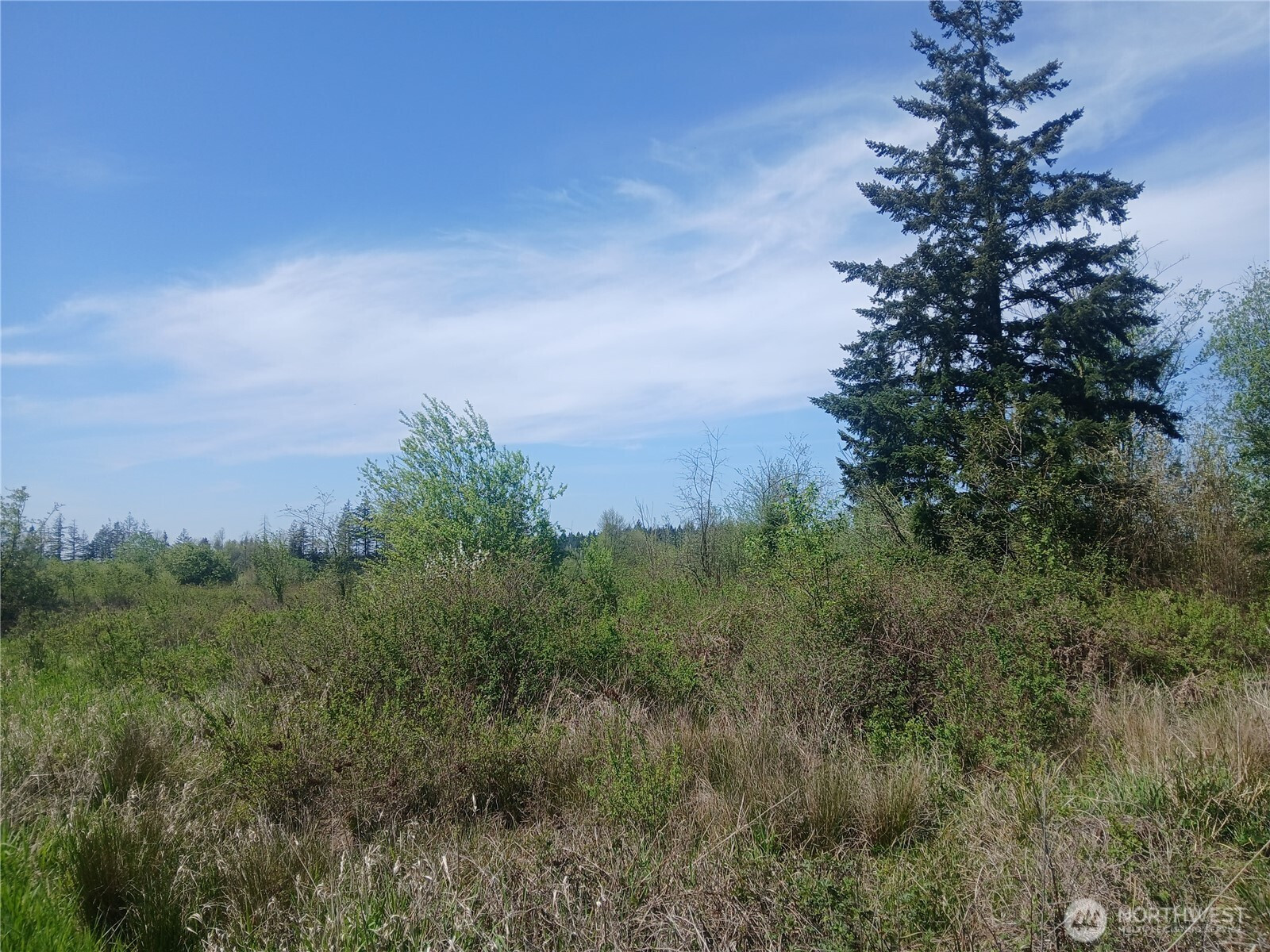 456 Meier Road, Winlock, WA 98596