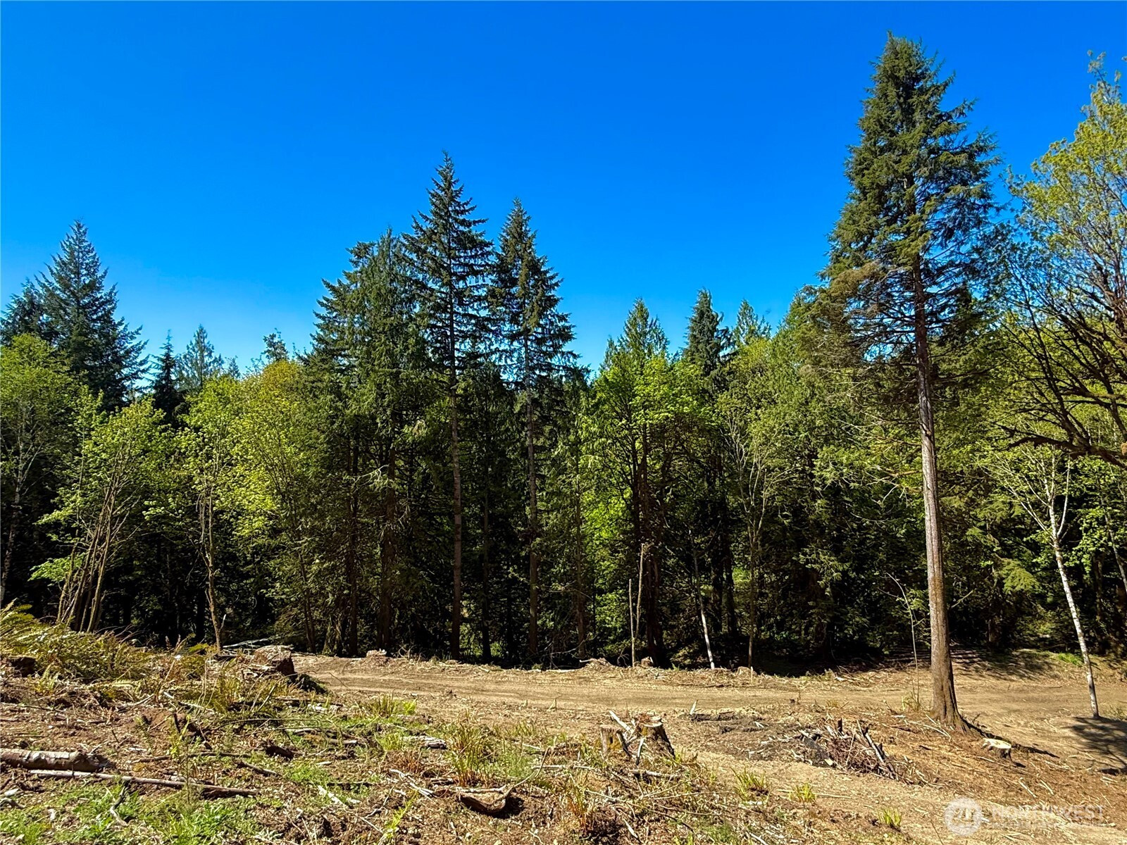 75 E Lakewood Drive, Belfair, WA 98528