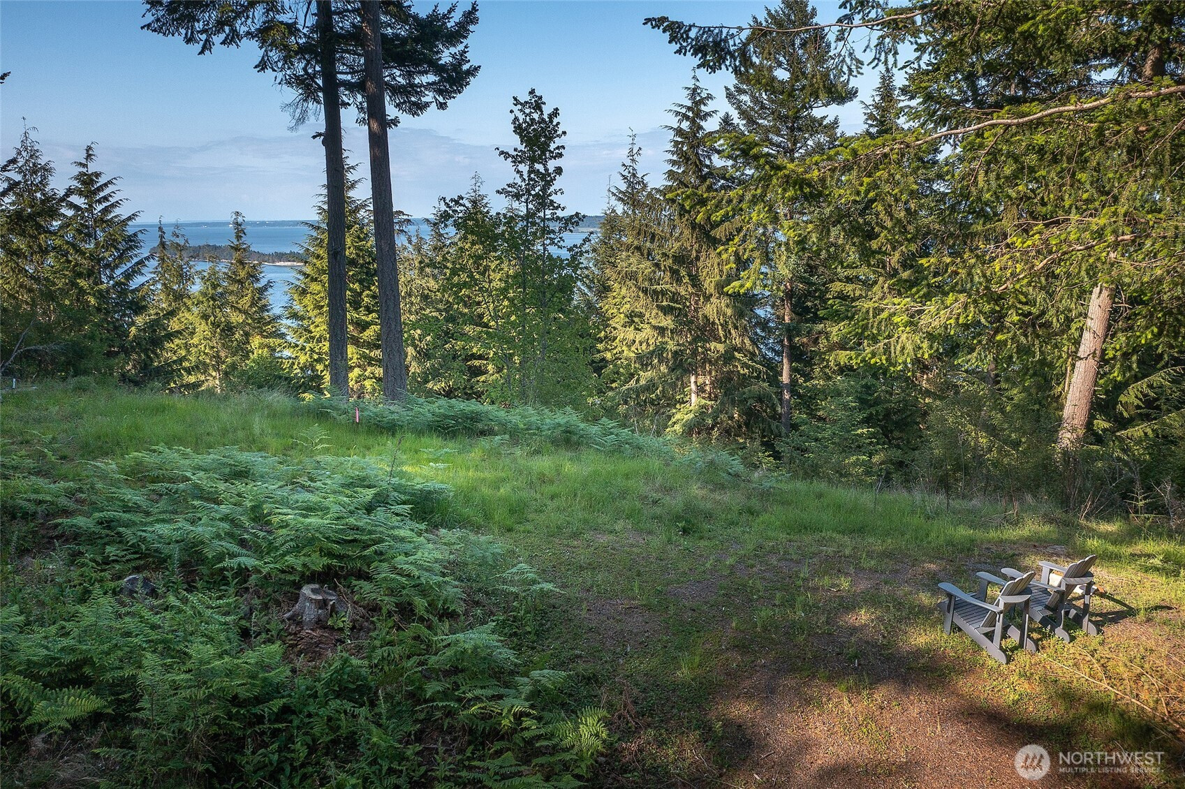 41 Raven Lane, Orcas Island, WA 98279