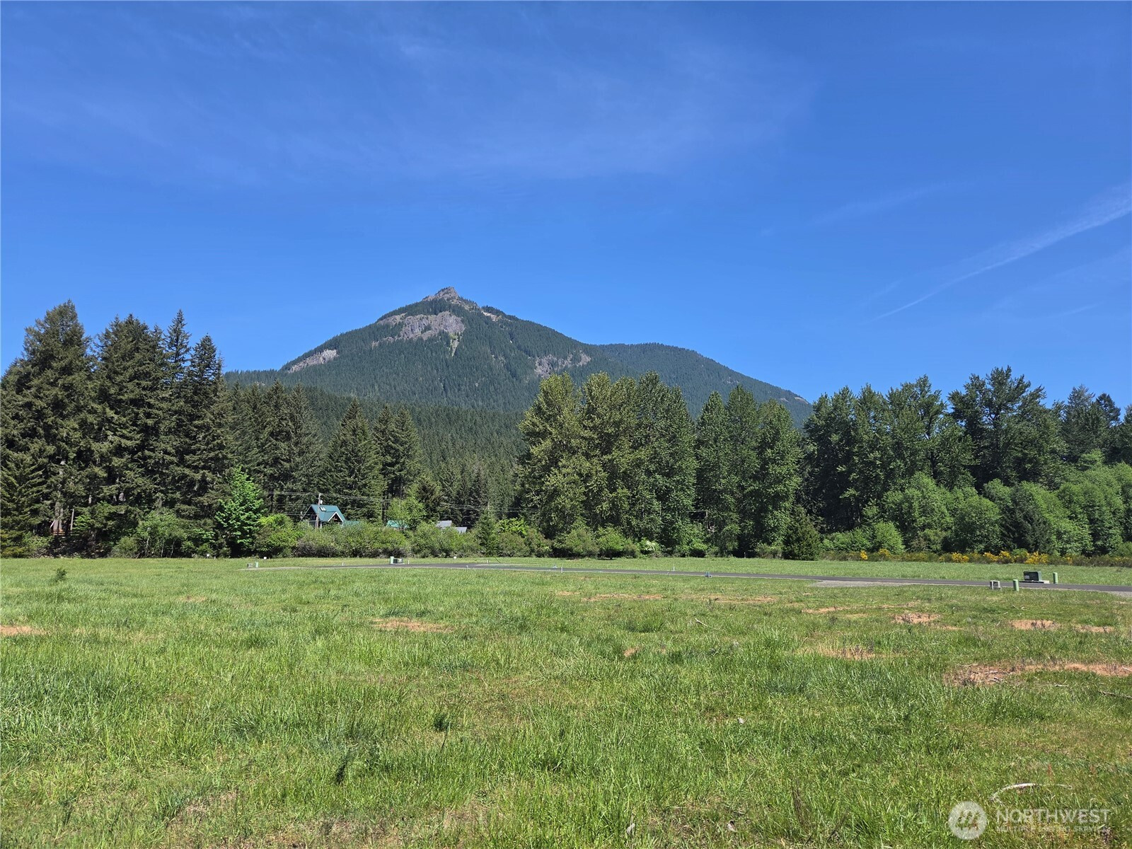 123 Campfire Lane, Packwood, WA 98361