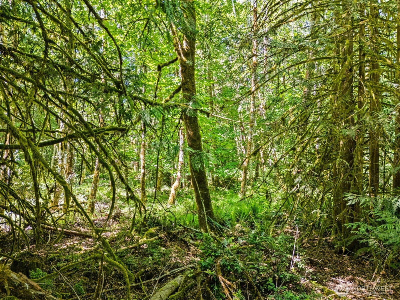 0 TR D E Jared Road, Shelton, WA 98584