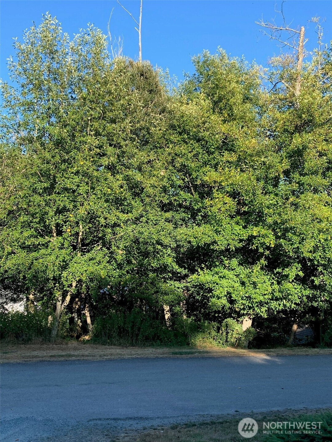 0 xxx Brittany, Freeland, WA 98249
