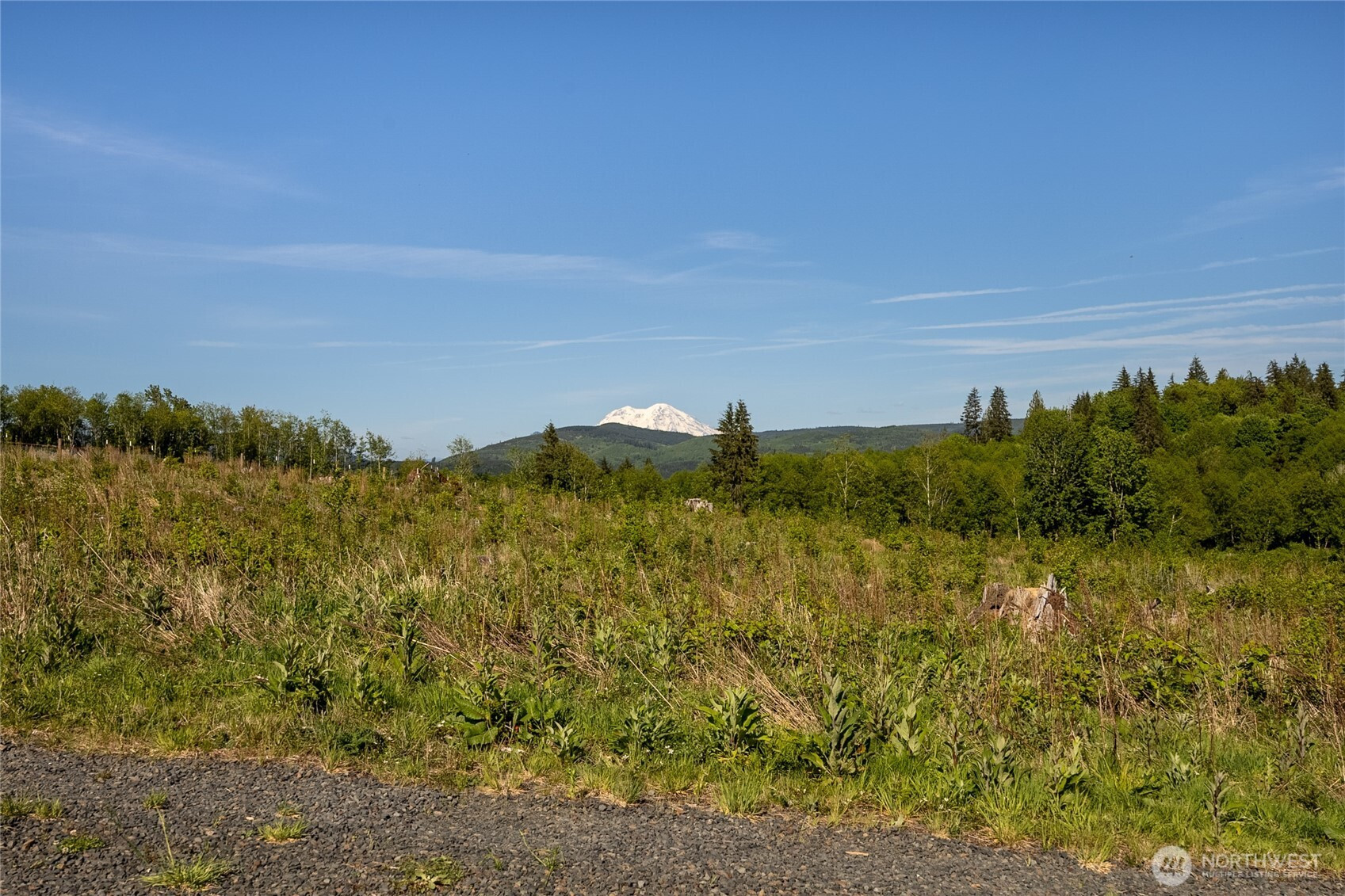 195 -82 Hagen Road, Mossyrock, WA 98564
