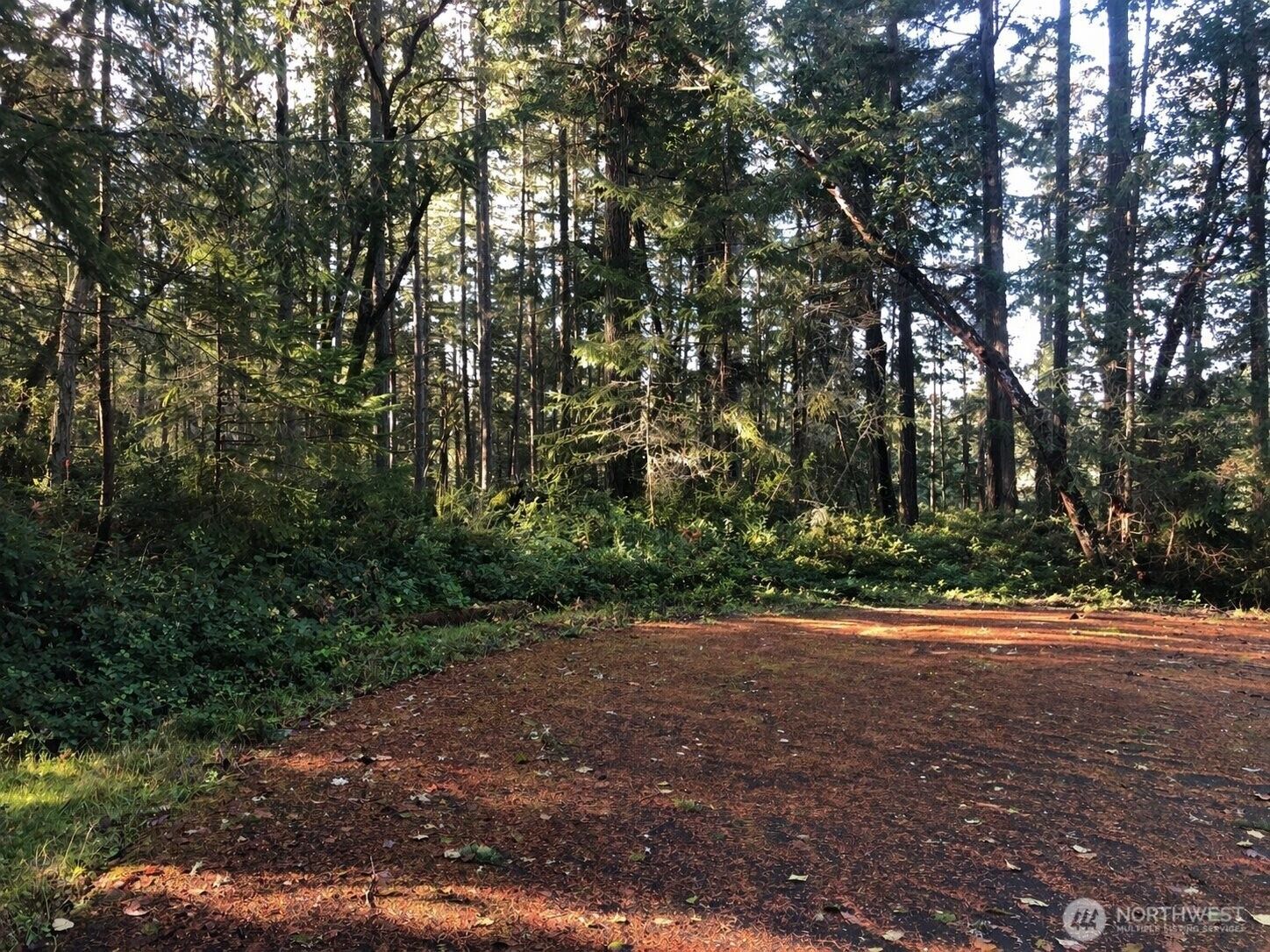 9501 116th Avenue Ct, Anderson Island, WA 98303