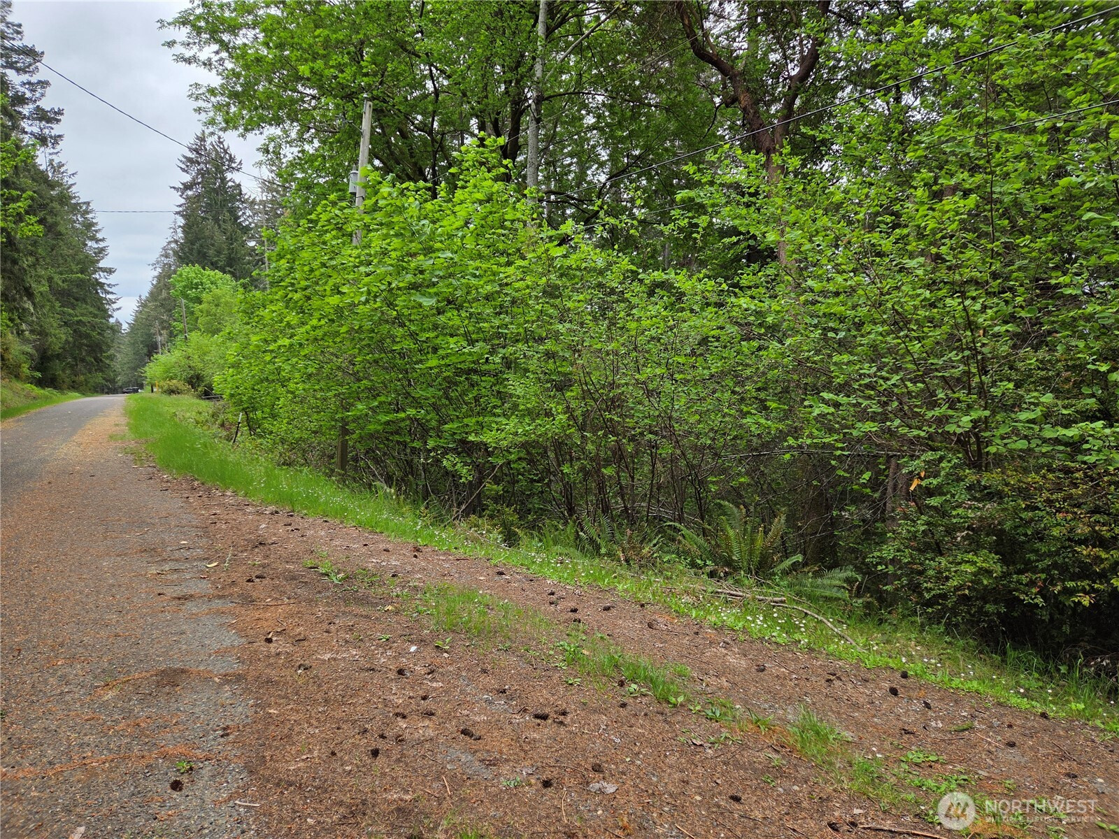 181 E Peale Drive, Shelton, WA 98584