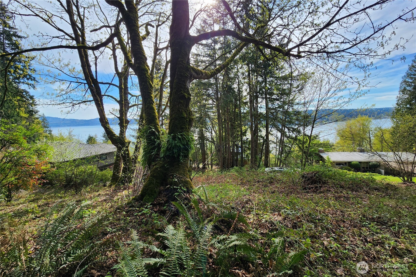 0 E Lake Sammamish Parkway NE, Sammamish, WA 98074