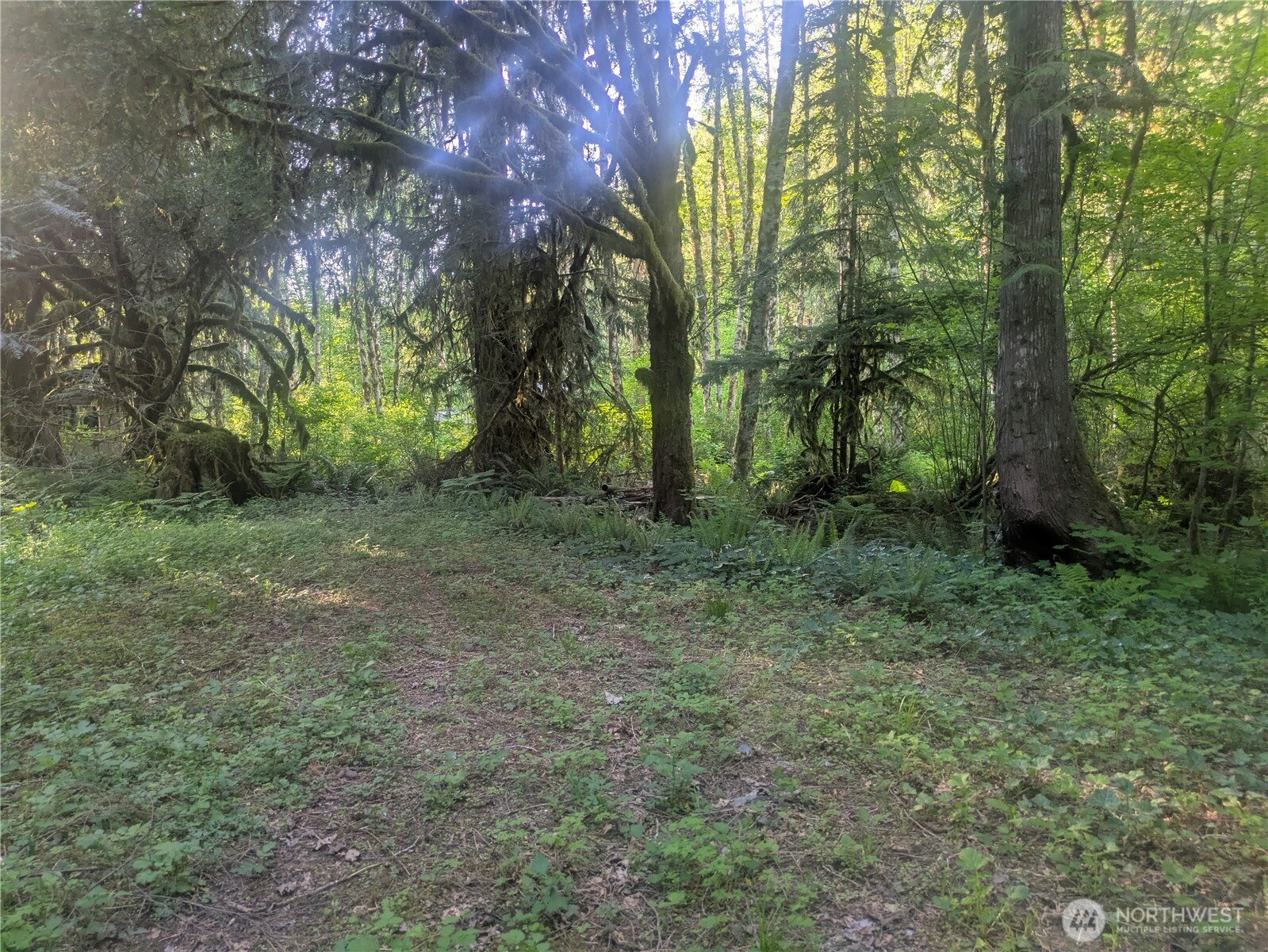 63323 W Cascade Way, Marblemount, WA 98267