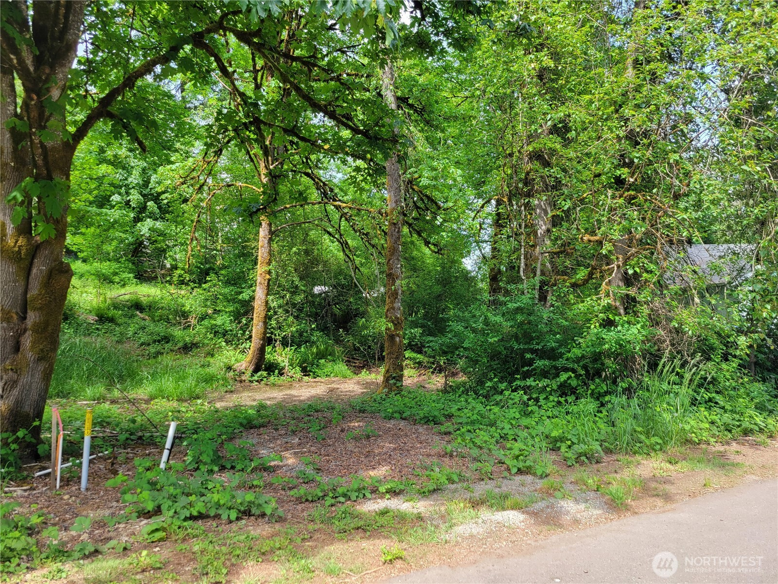 2518 Handicap Court SW, Olympia, WA 98512