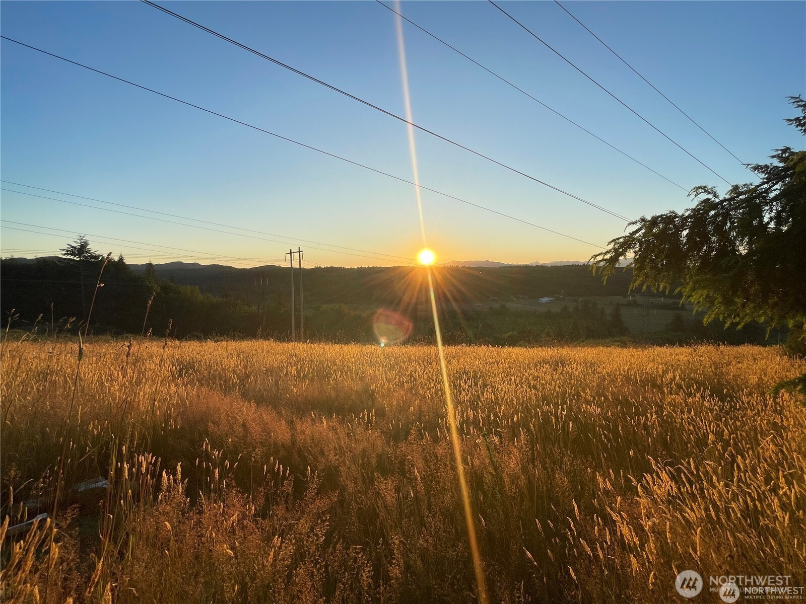 890 W Wynwood Drive, Shelton, WA 98584