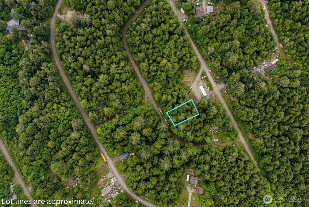 0 xxx Hummingbird Drive, Taholah, WA 98587