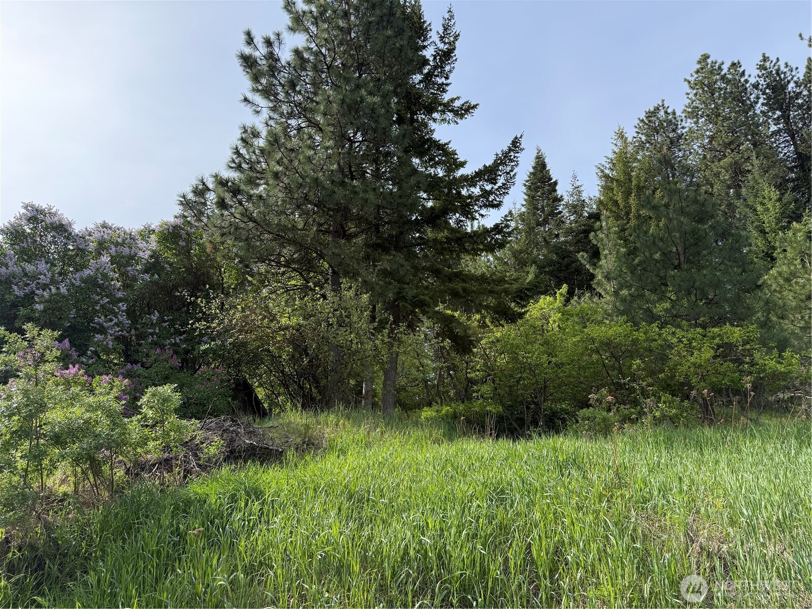 4 5th St Alley, Roslyn, WA 98941