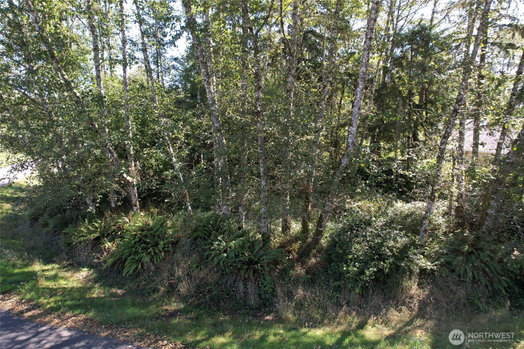 768 Sandpiper Court SE, Ocean Shores, WA 98569