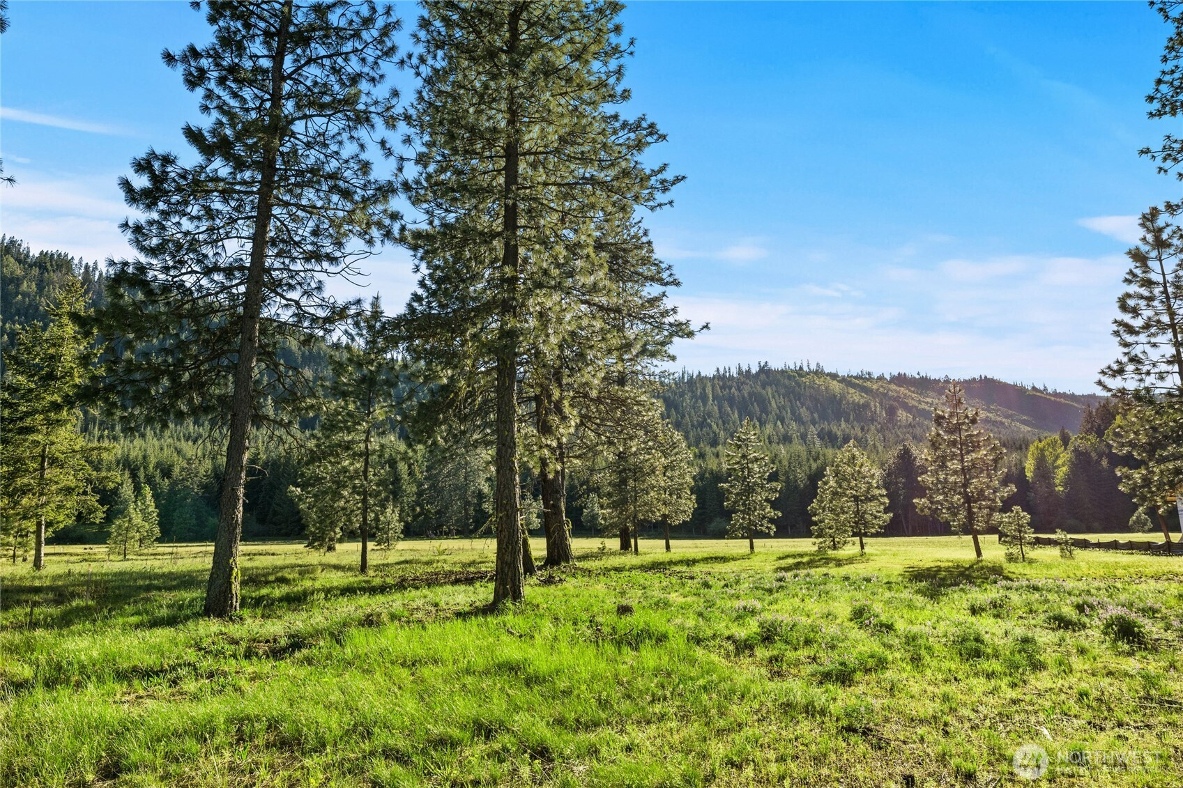 20 Domerie Park Loop, Cle Elum, WA 98922