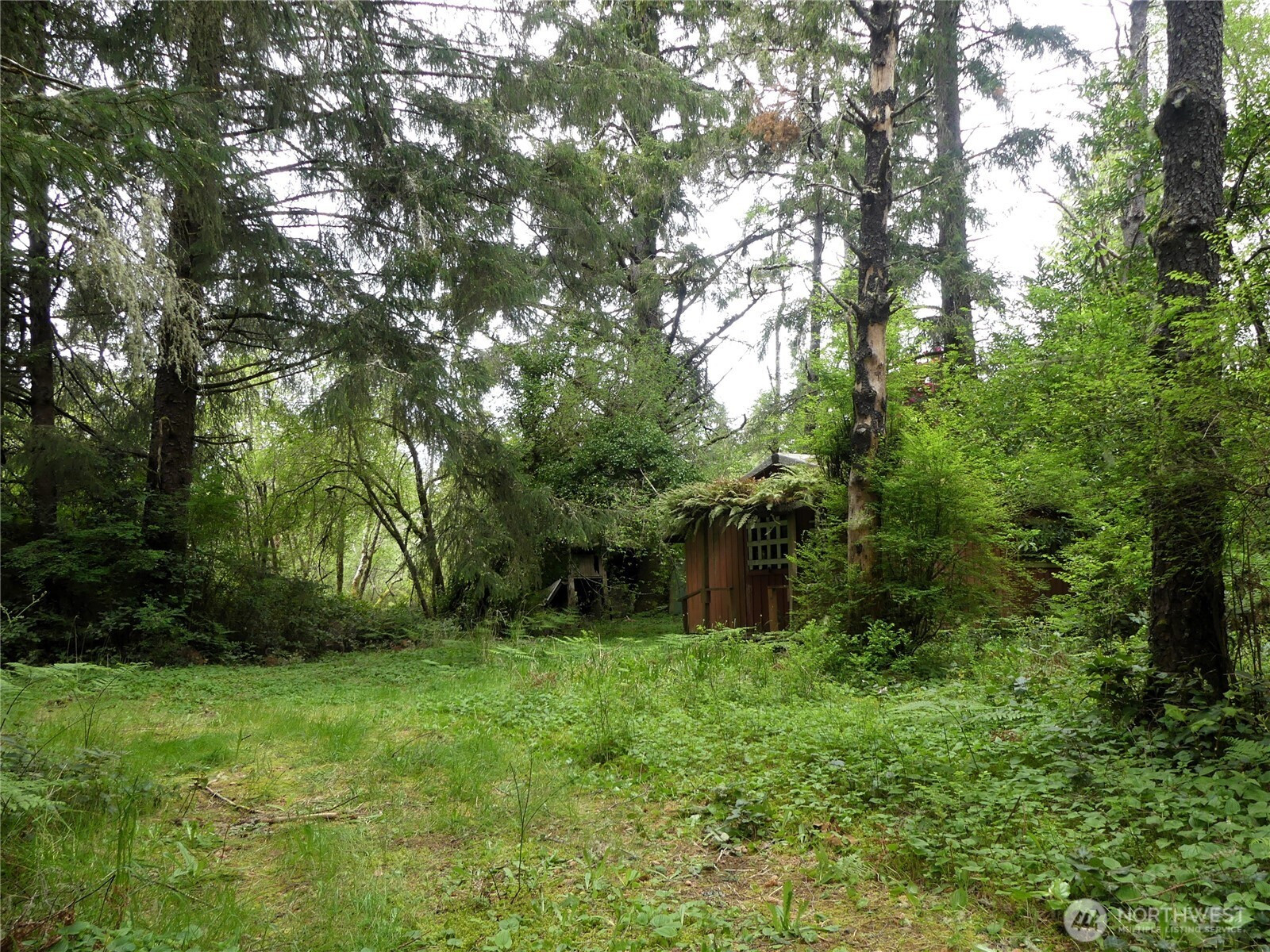 14001 Birch Street, Long Beach, WA 98631