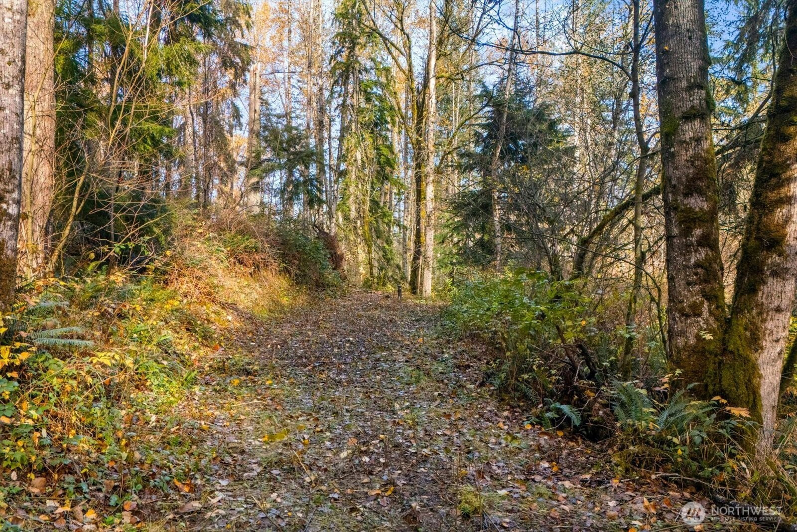 15 xxx Brookside Place, Snohomish, WA 98290