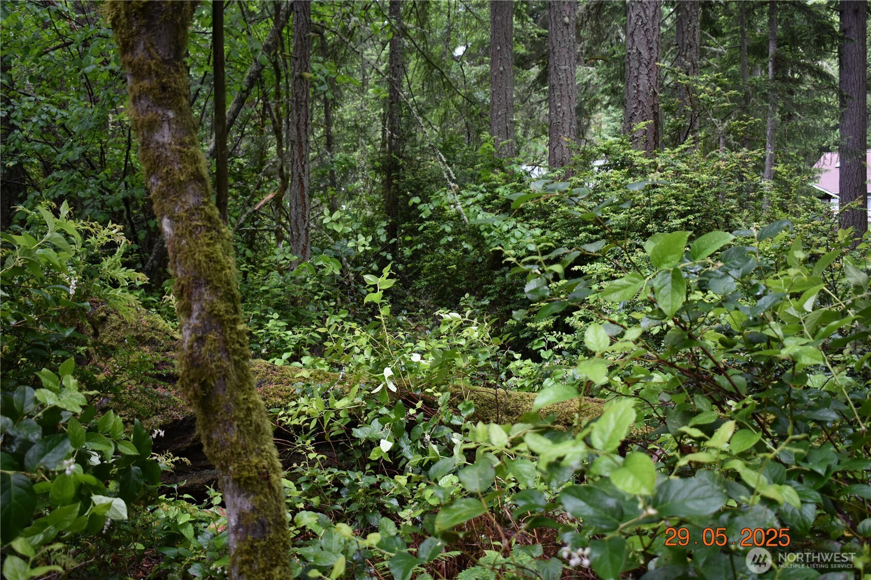 120 W Satsop Drive, Elma, WA 98541