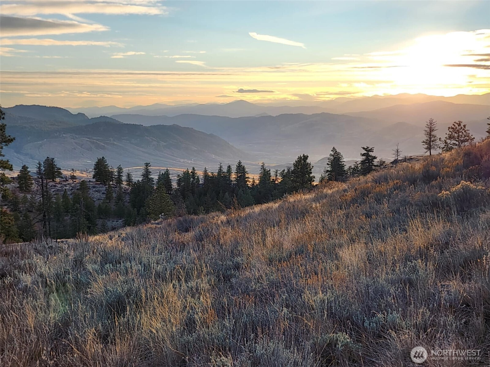 0 Blue Grouse (Div 5, Lot 42), Oroville, WA 98844