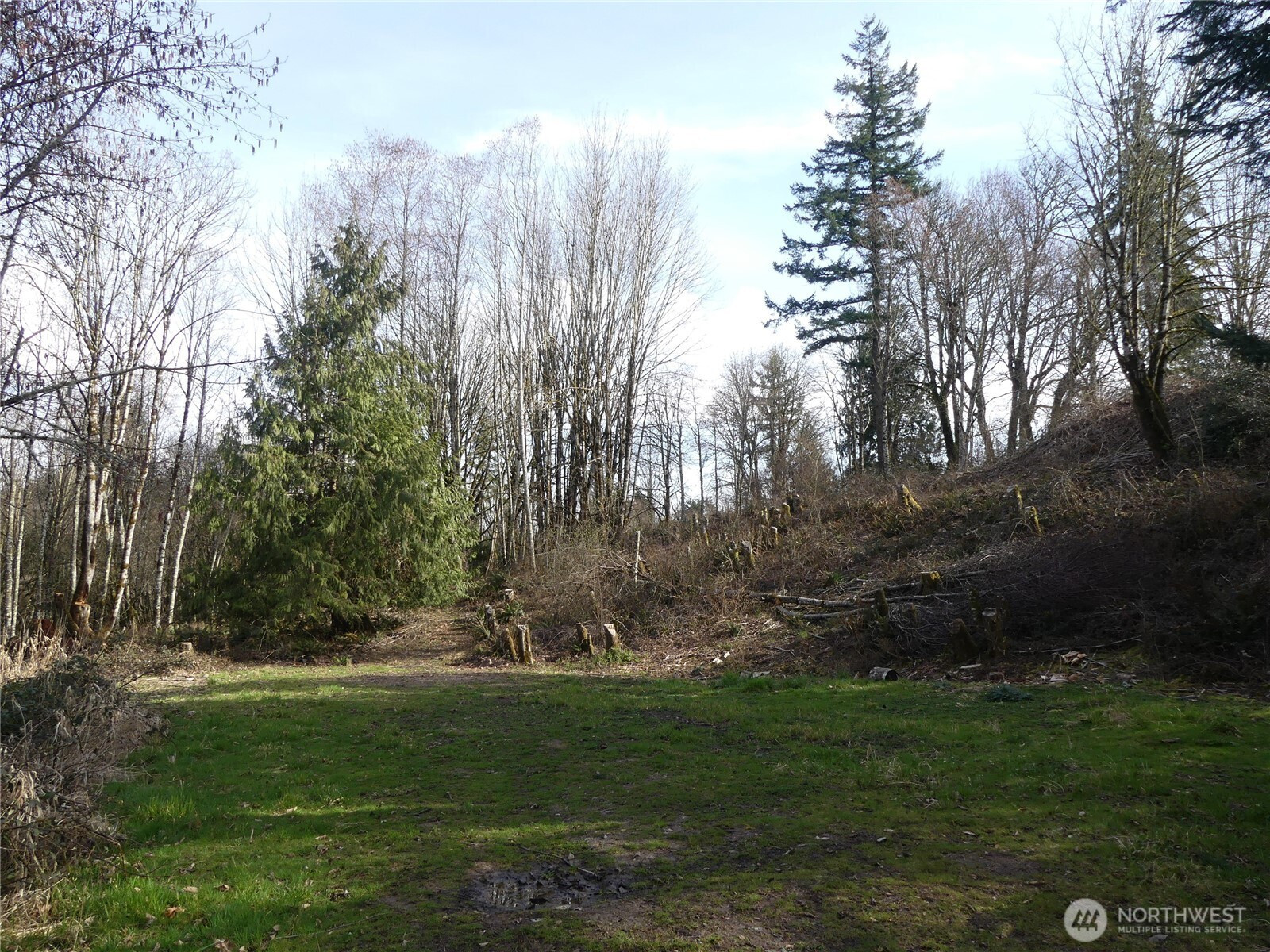 0 Horizon Drive, Kalama, WA 98625