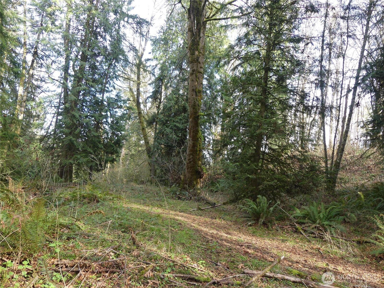 0 Horizon Drive, Kalama, WA 98625