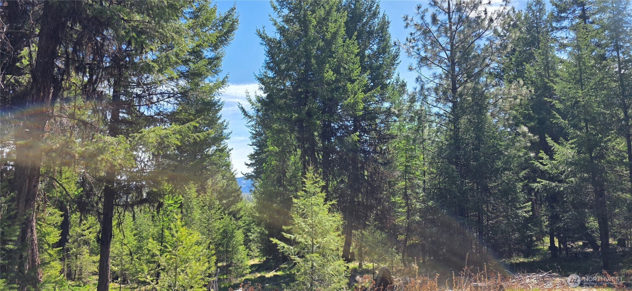 111 TBD Wannamaker rd, Oroville, WA 98844
