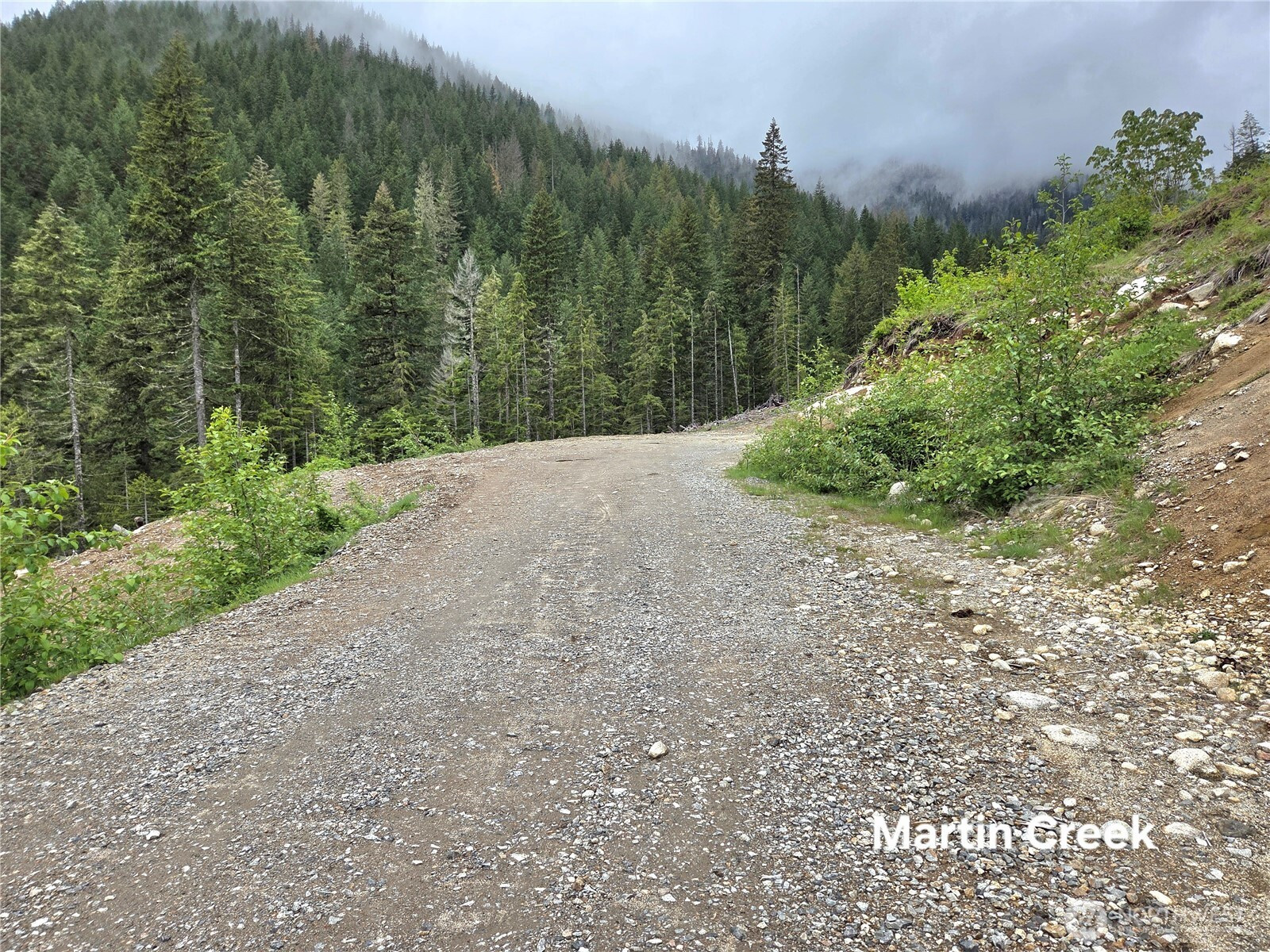 6710 6710 Martin Creek, Skykomish, WA 98288