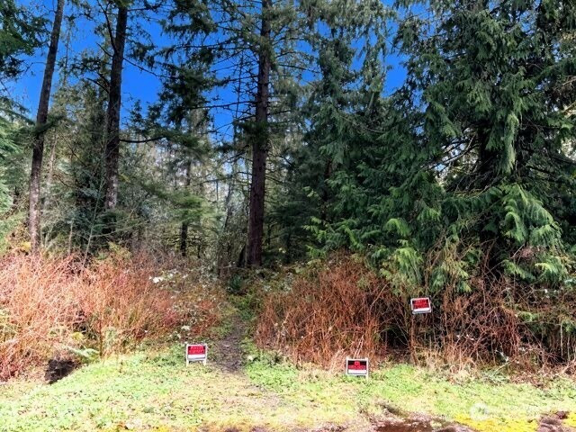 0 441st Avenue SE, North Bend, WA 98045
