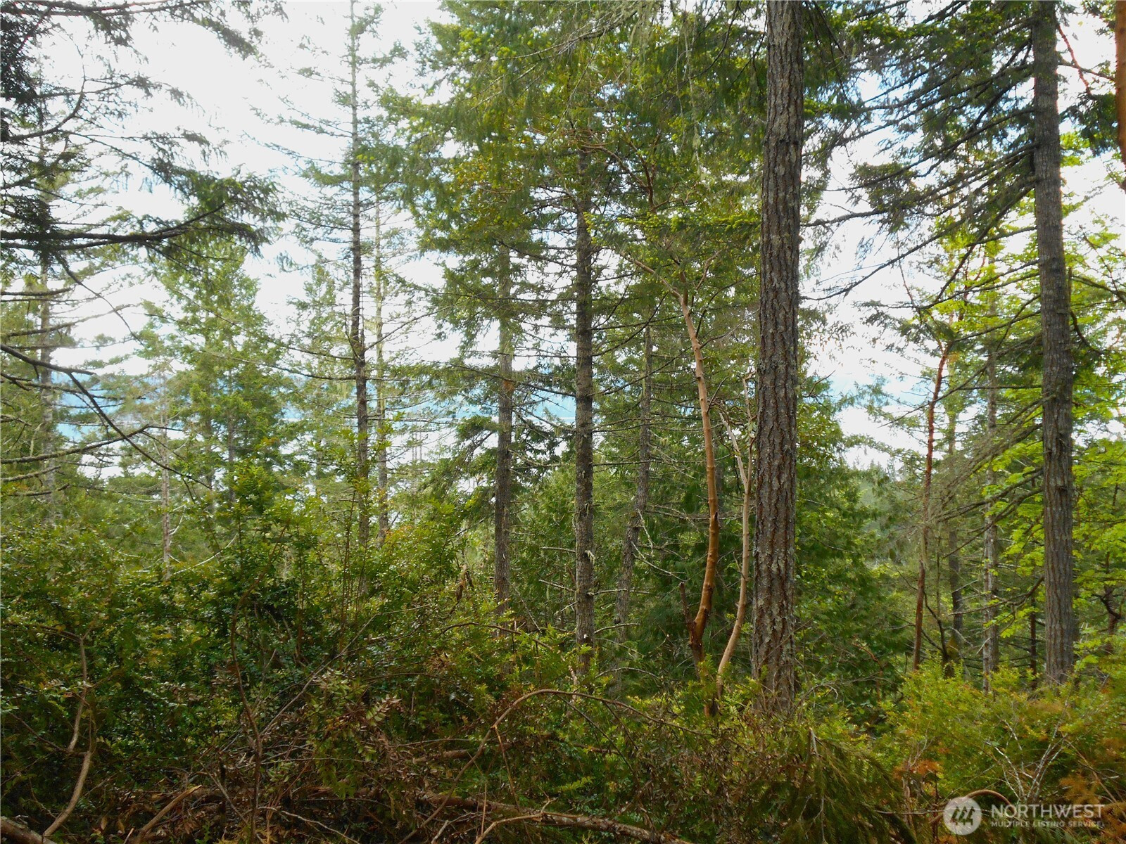 0 Yashi Road, Brinnon, WA 98320
