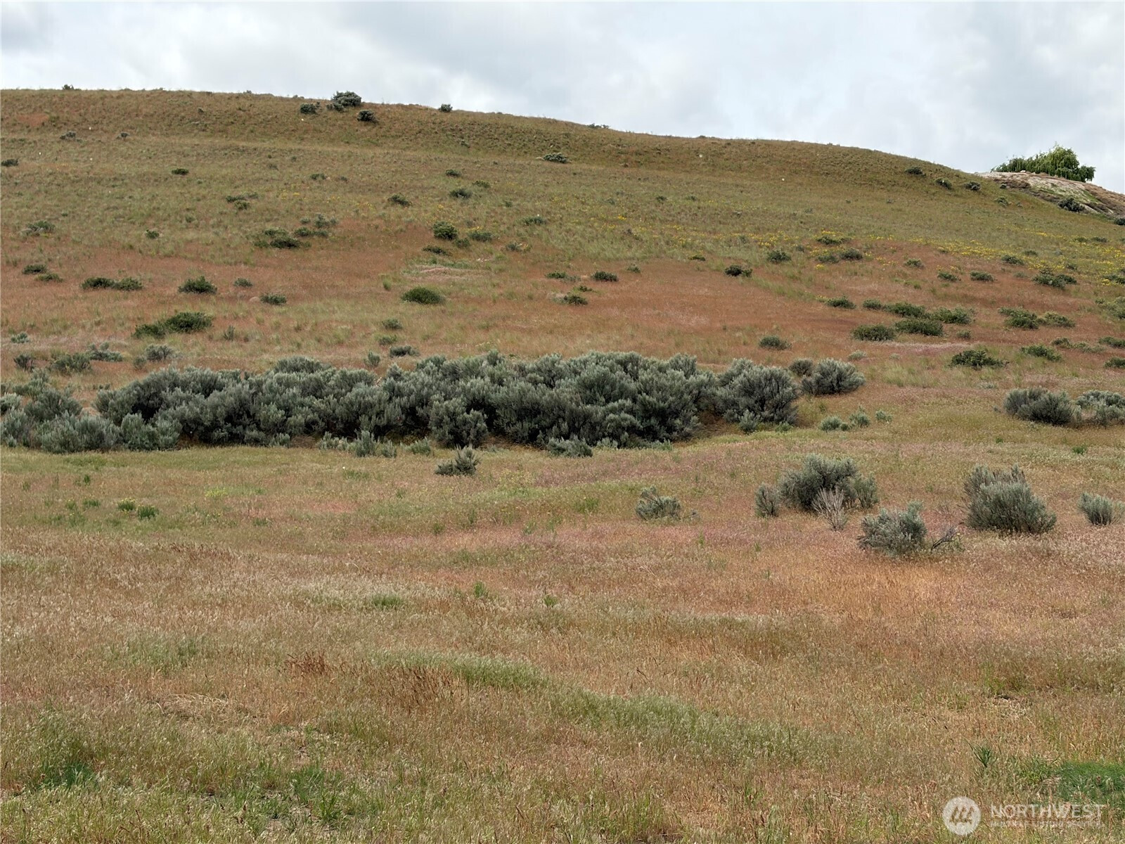 0 Adobe Way, Selah, WA 98942