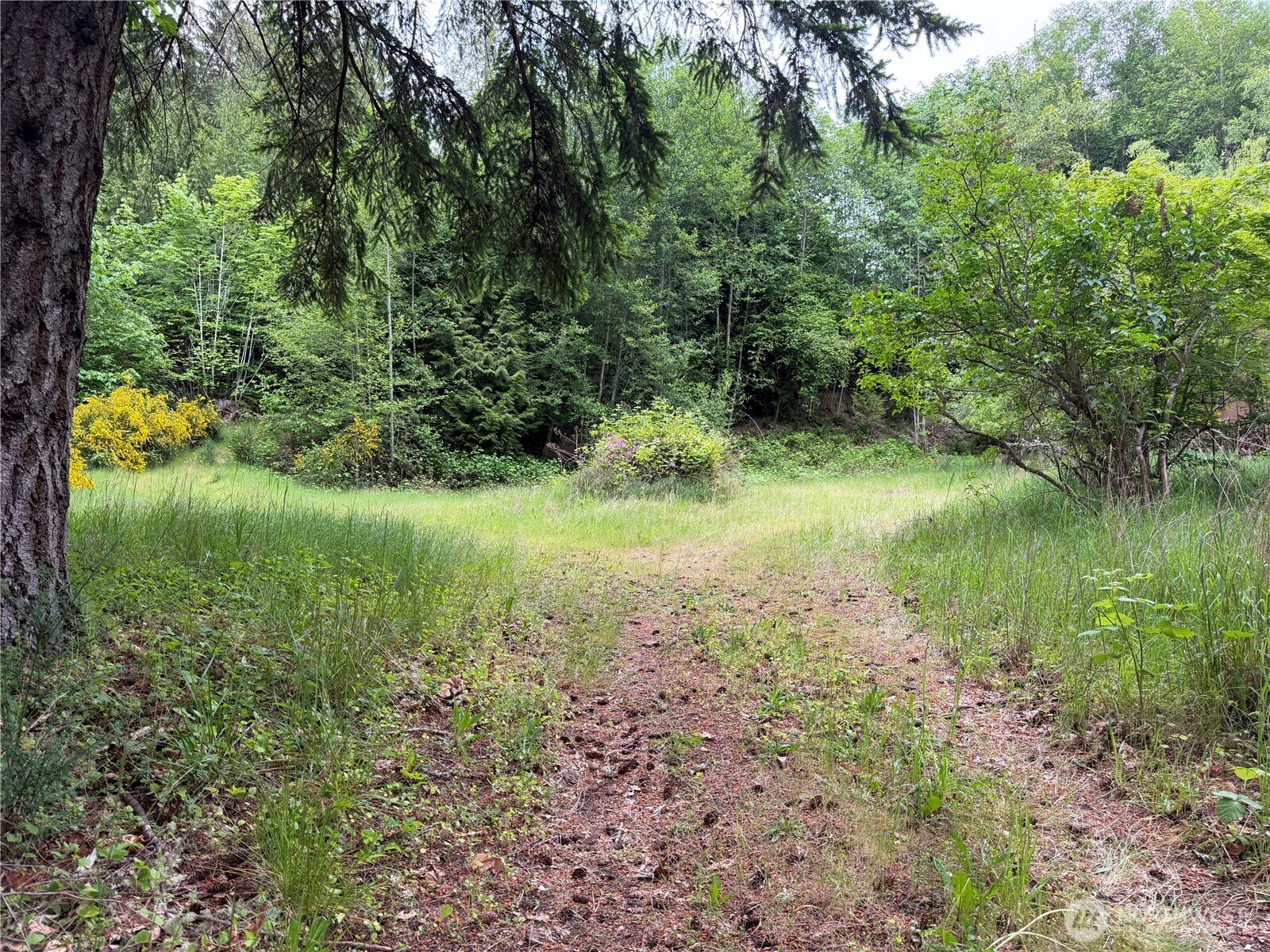 13234 Brownsville HWY NE, Poulsbo, WA 98370