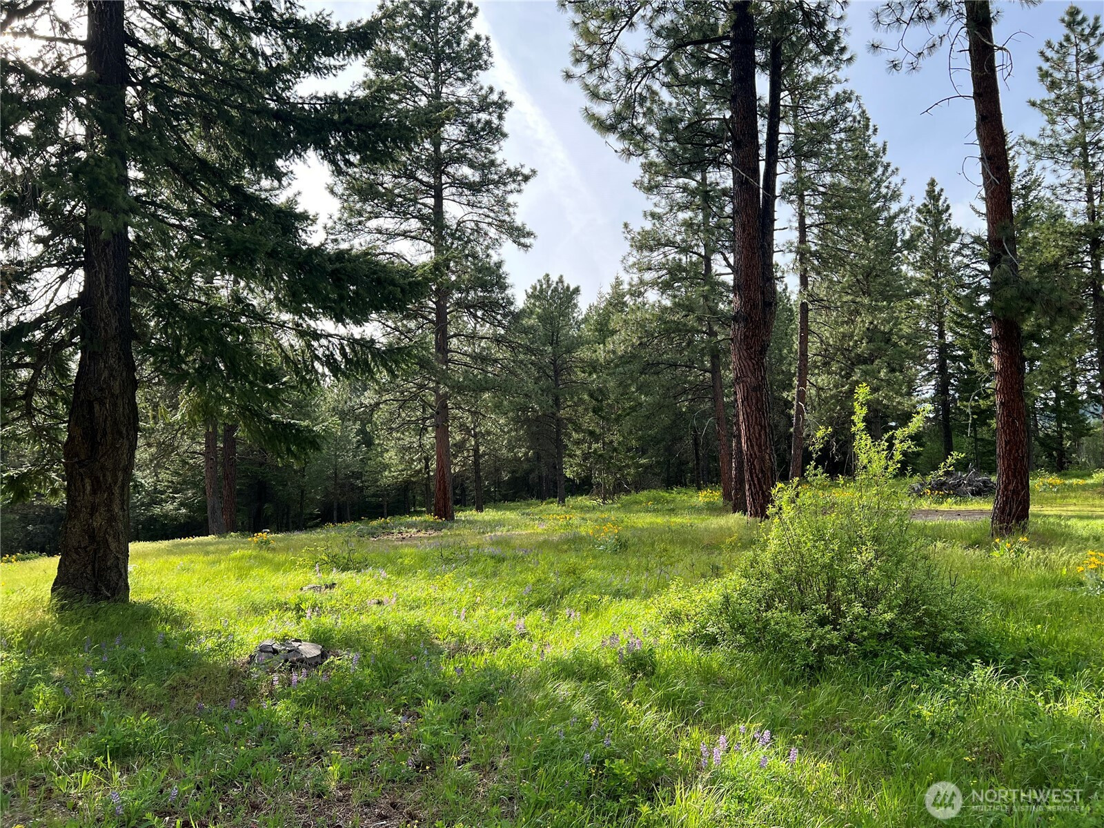 740 Sun Ridge Drive, Cle Elum, WA 98922