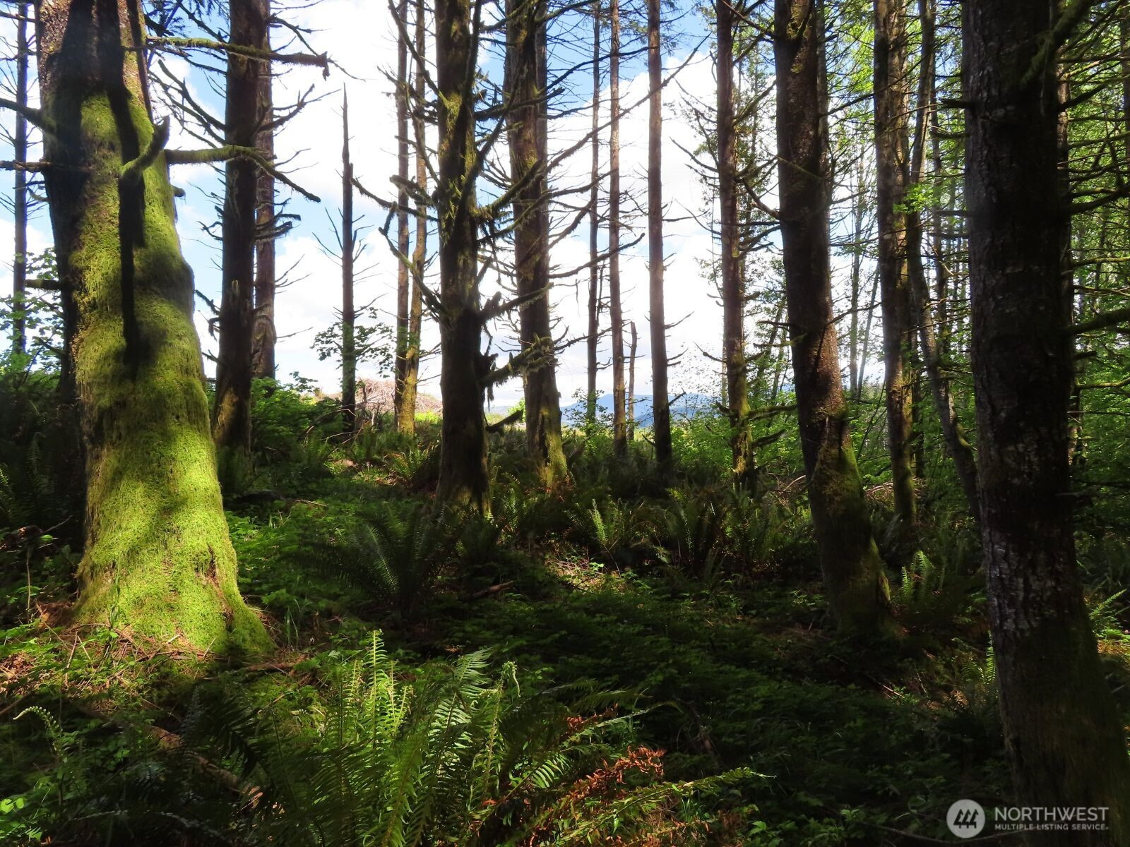 0 XXX Hockett Road, Onalaska, WA 98570