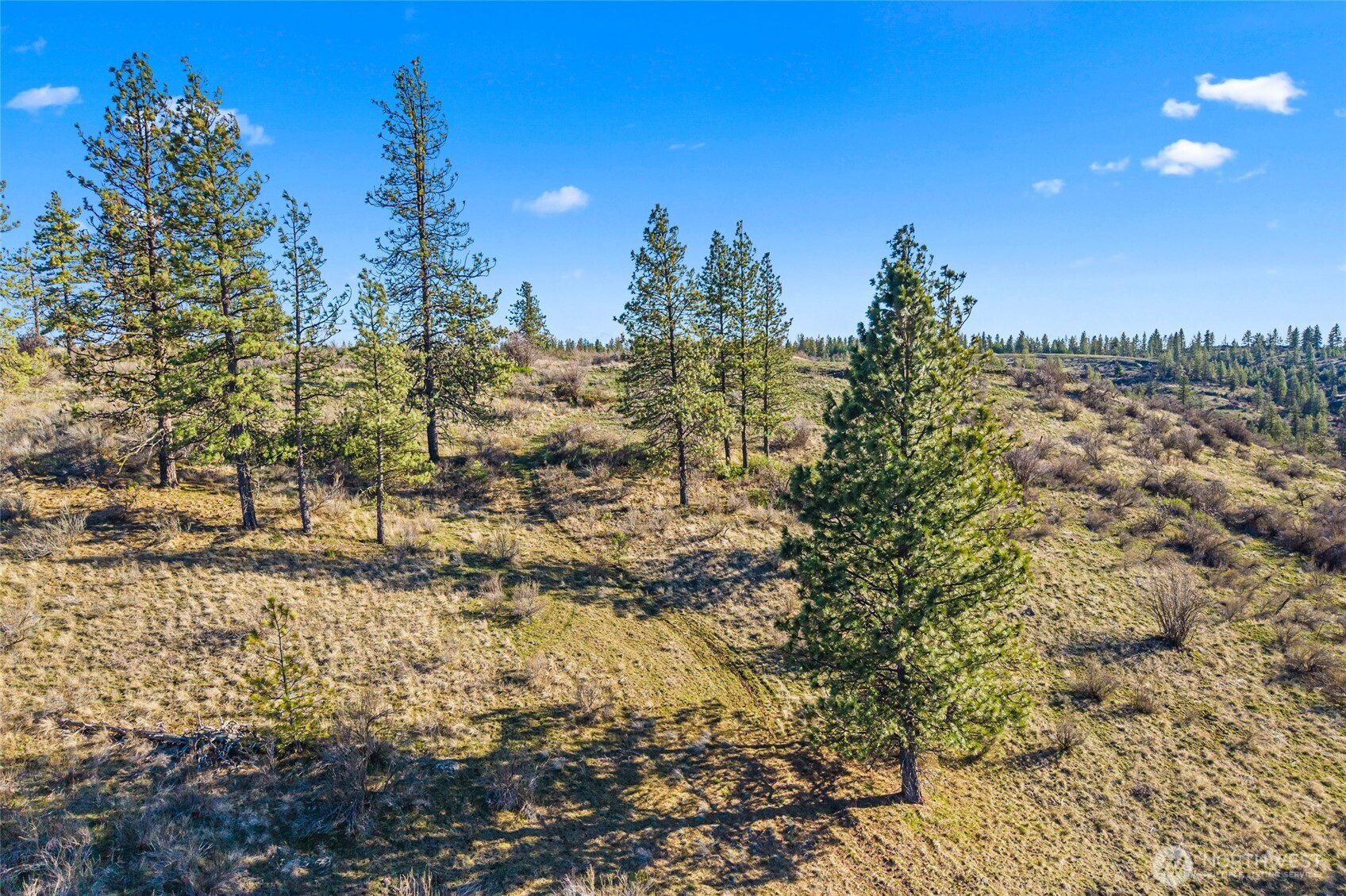 27220 Underwood Canyon, Creston, WA 99117