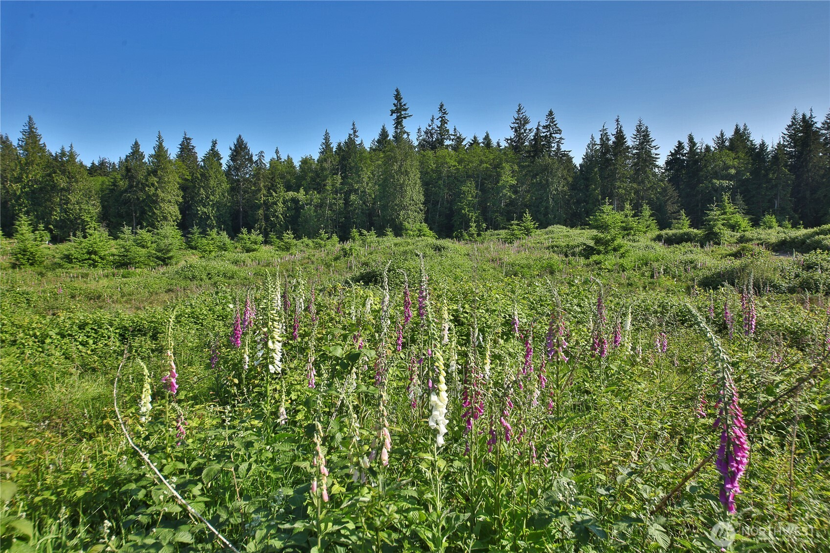 2062 Goodell Road, Freeland, WA 98249