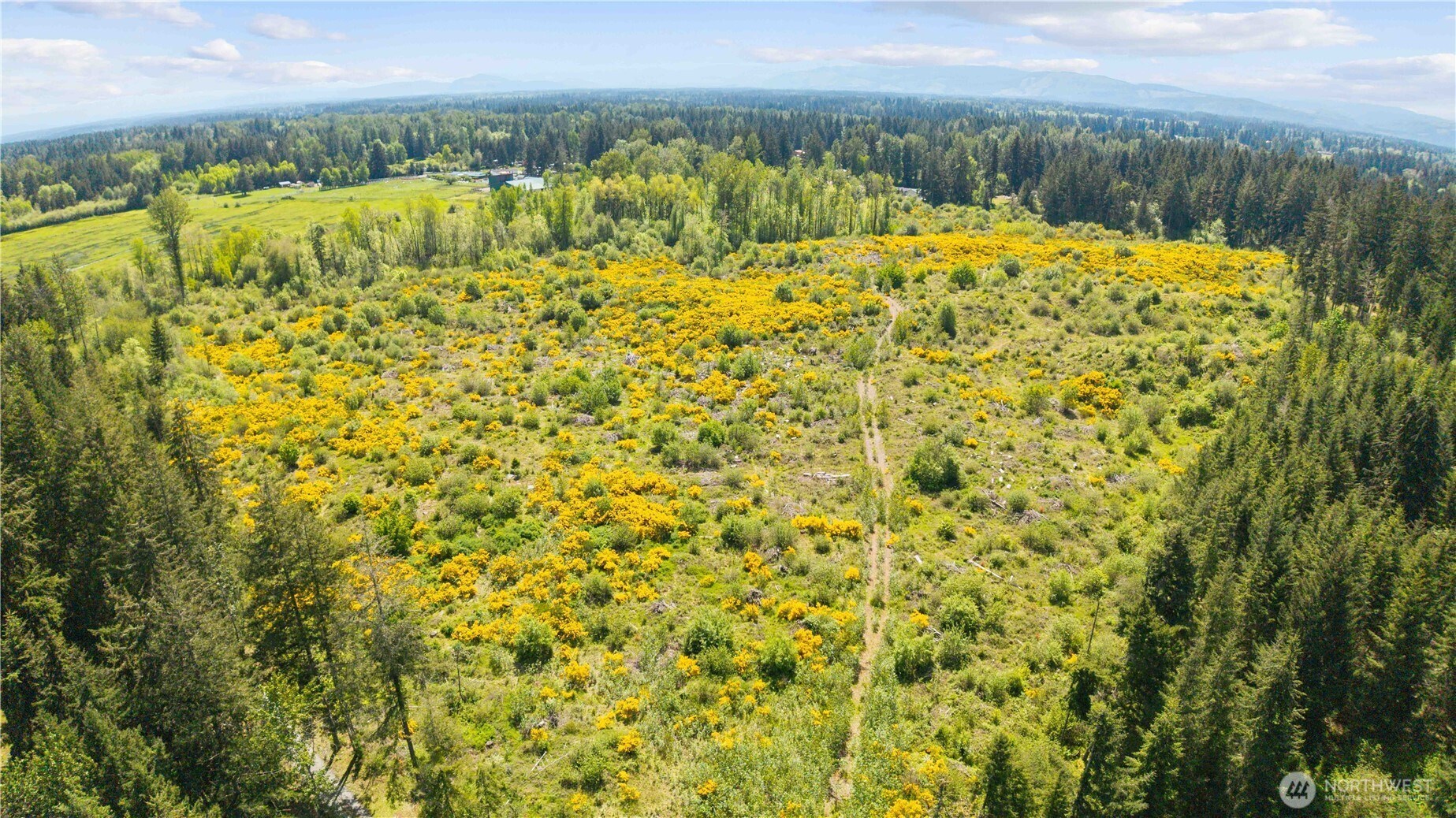0 Charbonneau Lane SE, Yelm, WA 98597