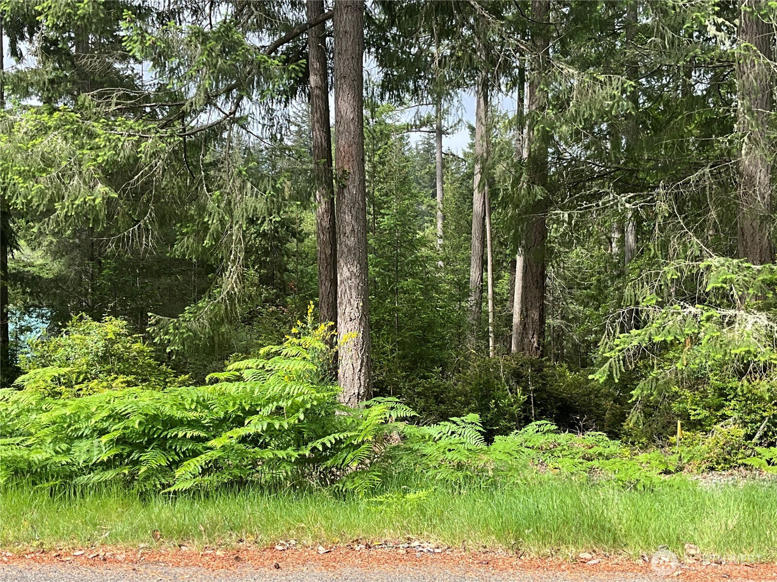 11018 Mathews Way, Anderson Island, WA 98303