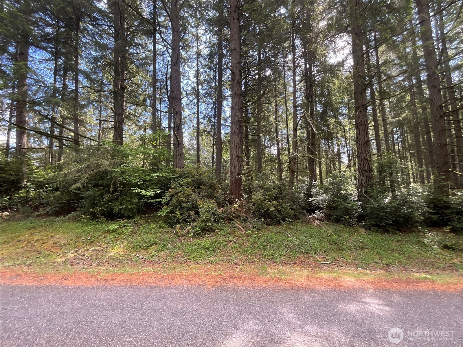 11321 Lake Josephine Avenue, Anderson Island, WA 98303