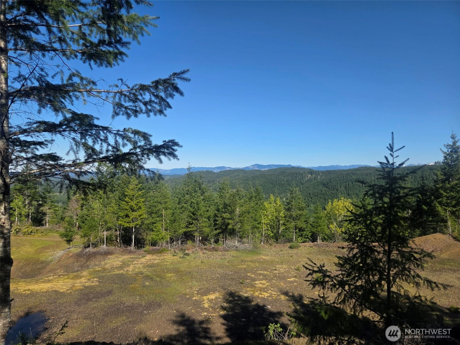 7241 W Cloquallum Road, Shelton, WA 98584