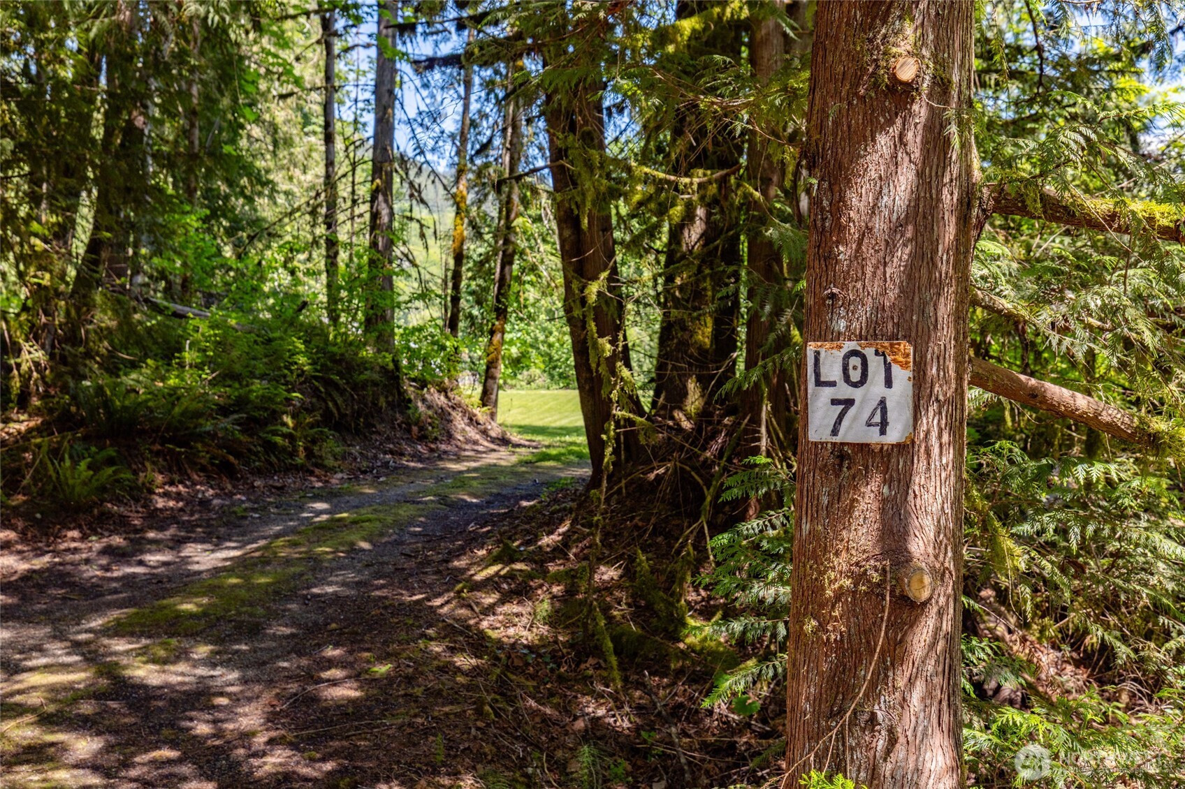 0 Lot 74 Skagit View Drive, Concrete, WA 98237