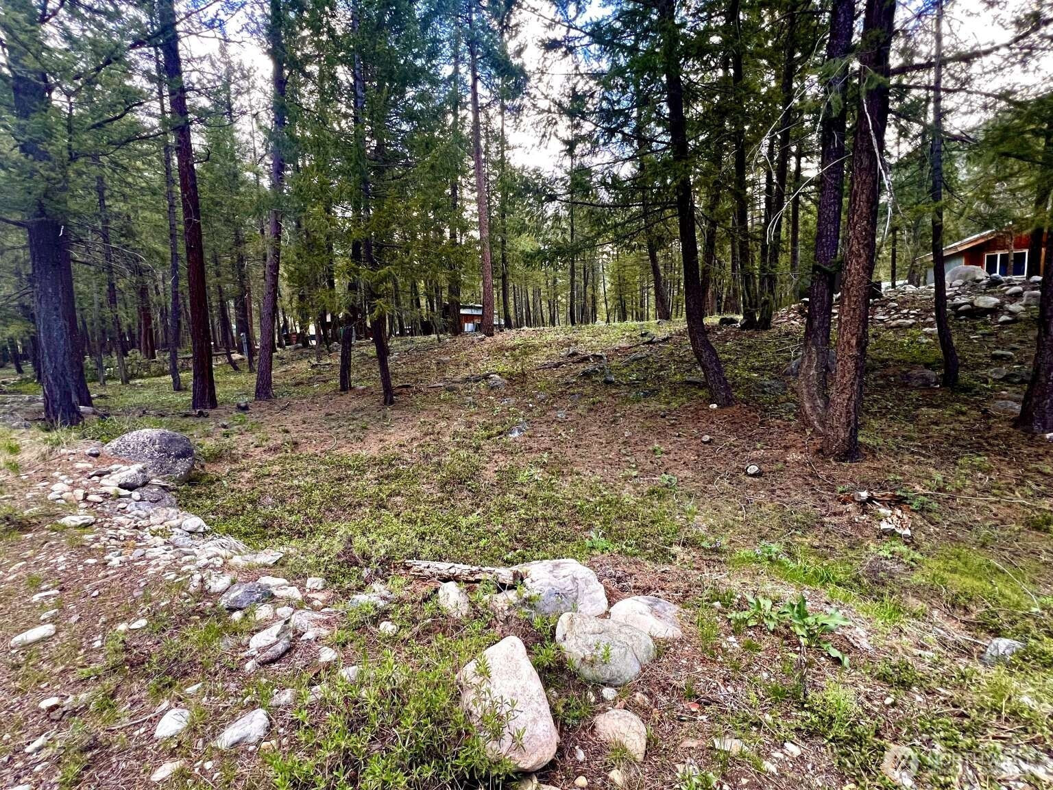 35 Emerson Road, Mazama, WA 98833