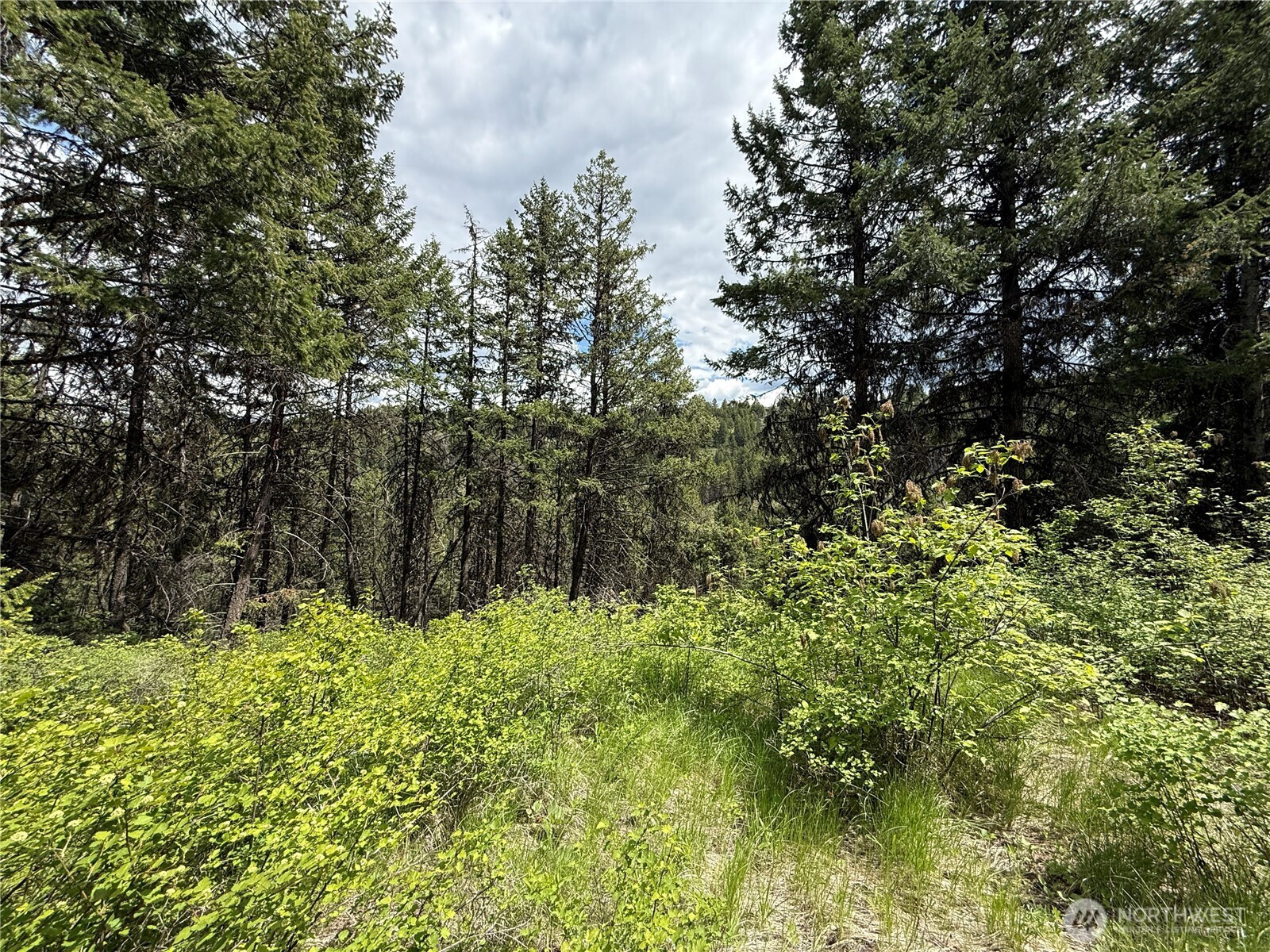 0 Lot 131 Slippery Hill Road, Republic, WA 99166
