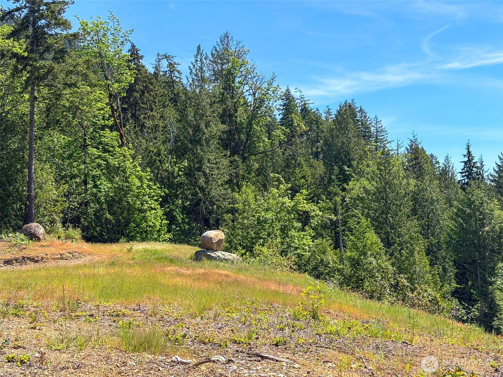 111 XXX Rocky Brook Road, Brinnon, WA 98320